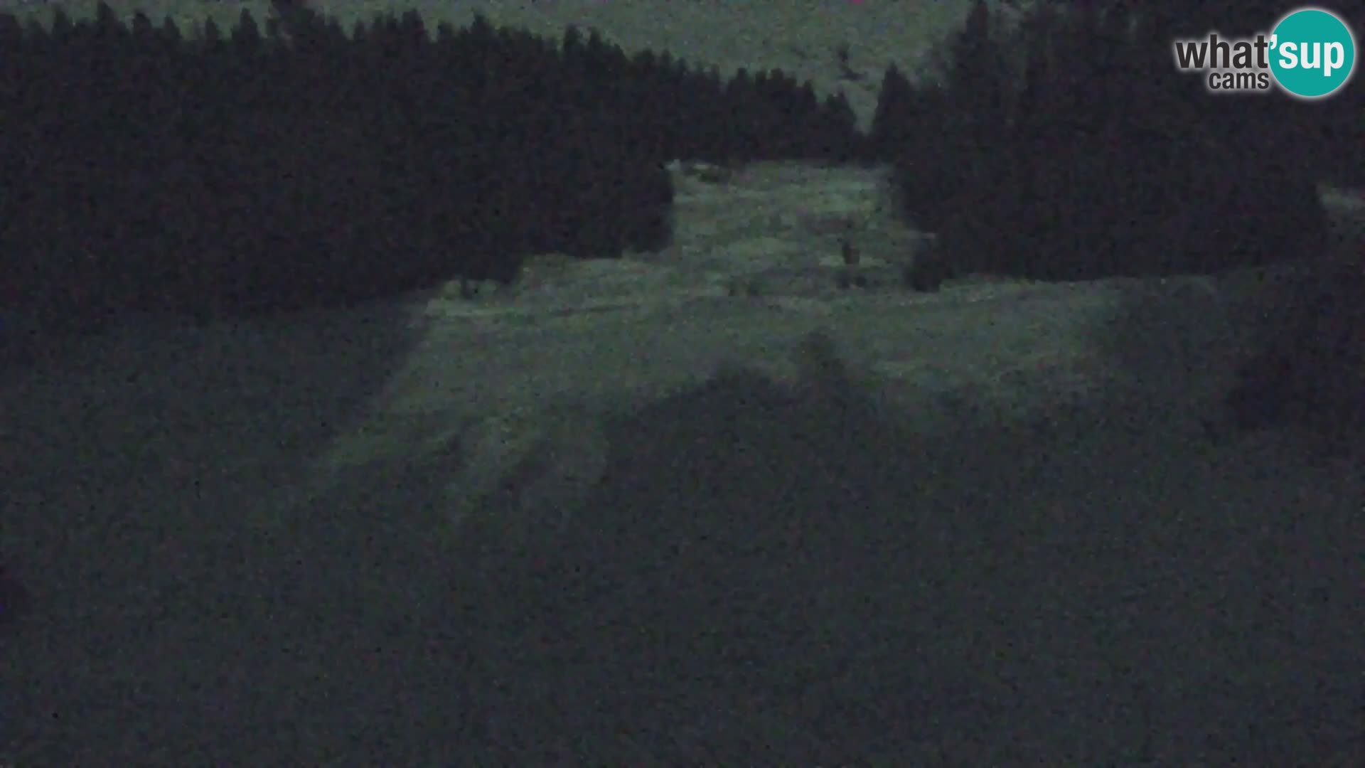 Kranjska Gora livecam VITRANC 1 | estación superior