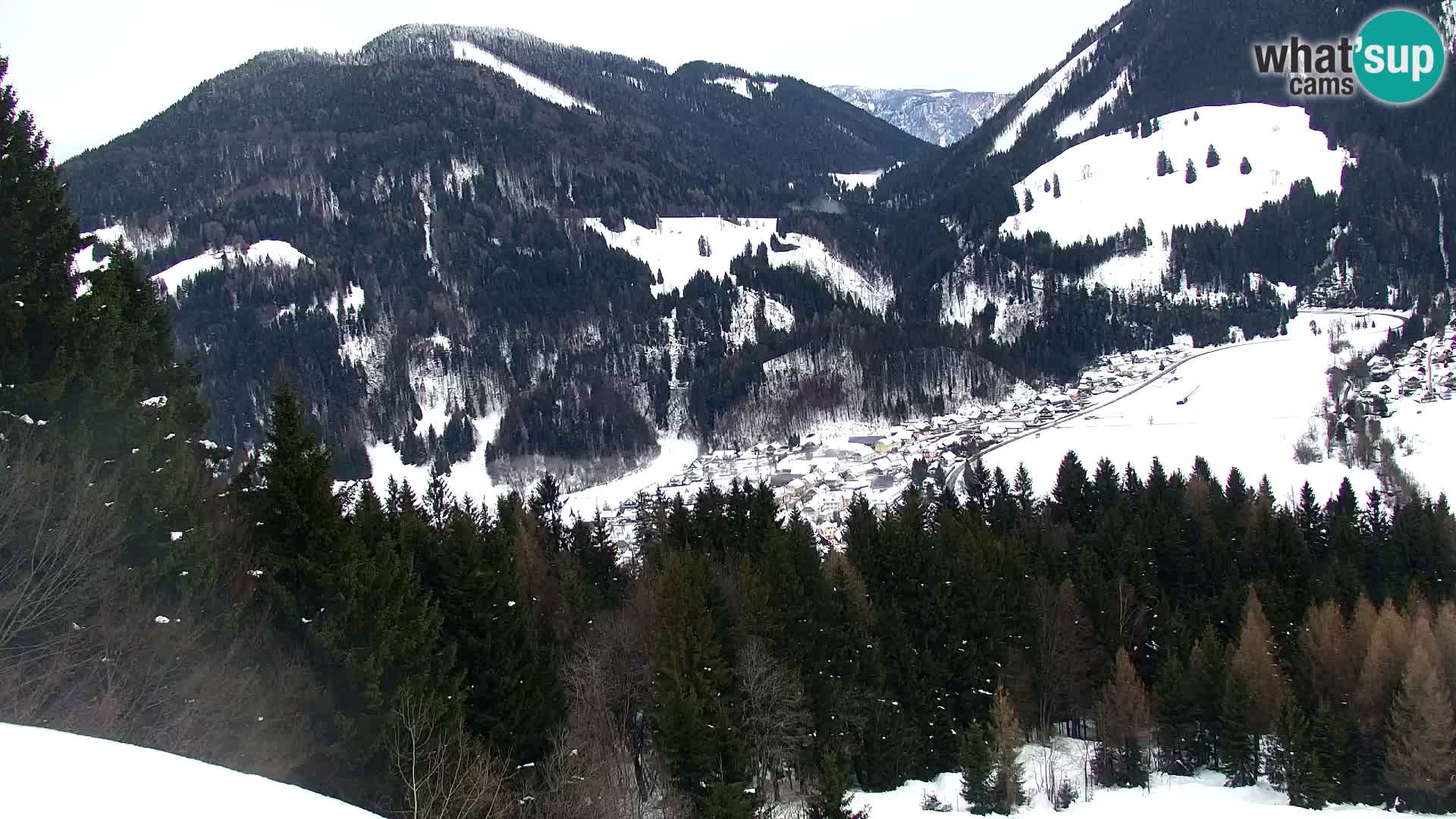 Vitranc Kranjska Gora webcam | VITRANC 1 stazione superiore