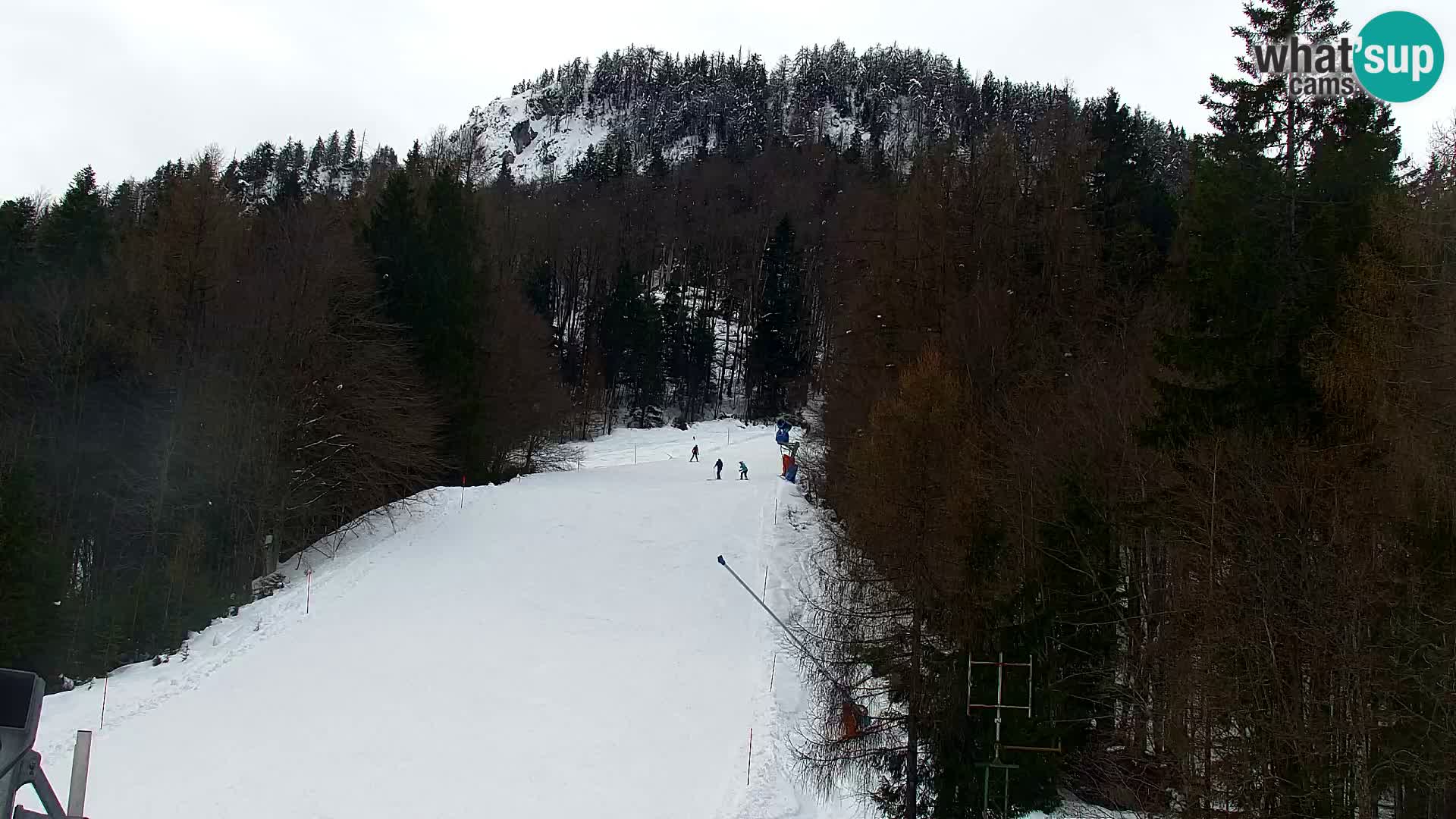 Vitranc Kranjska Gora webcam | VITRANC 1 stazione superiore