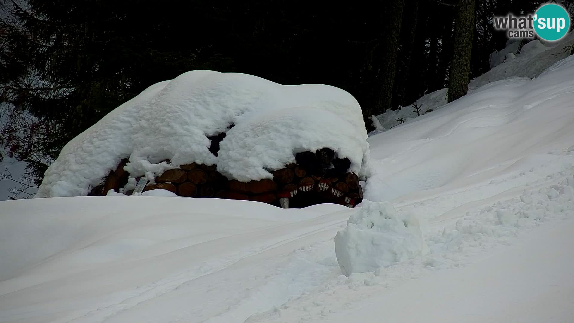 Kranjska Gora kamera VITRANC 1 | Zgornja postaja