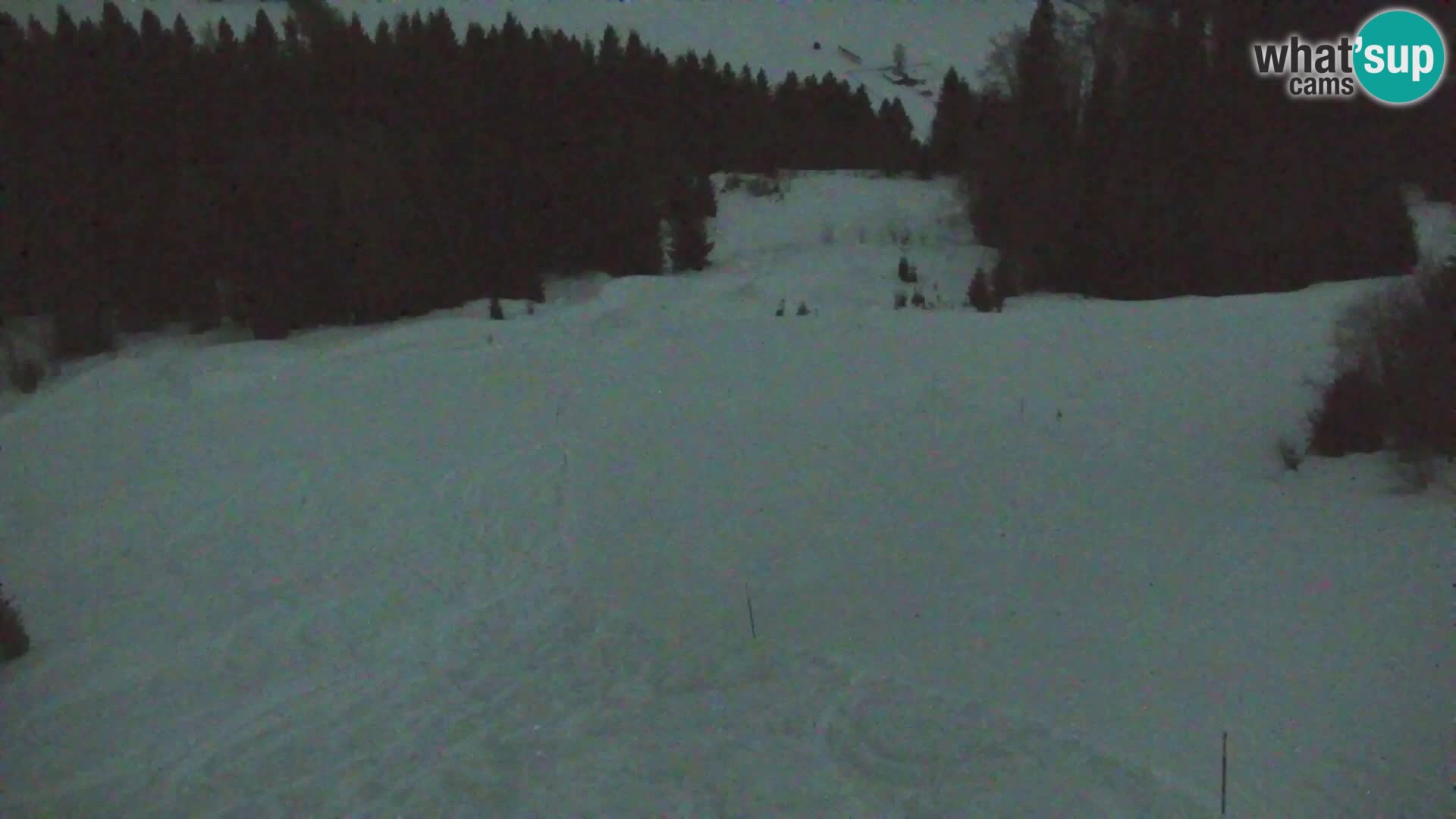 Vitranc Kranjska Gora webcam | VITRANC 1 stazione superiore