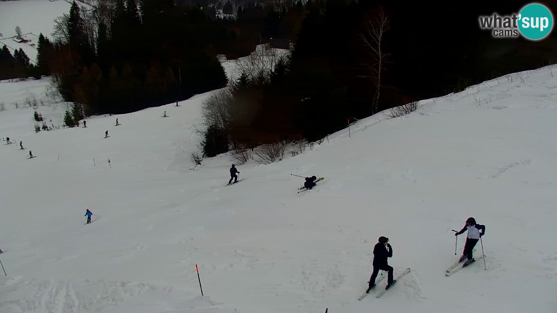 Vitranc Kranjska Gora webcam | VITRANC 1 stazione superiore