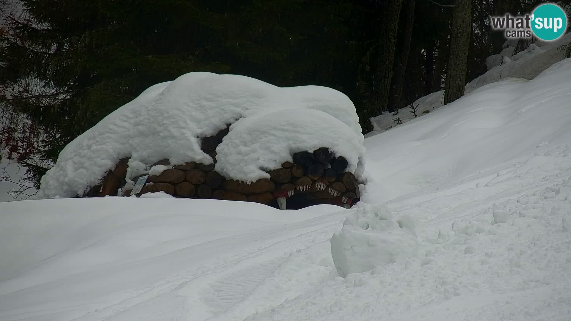 Kranjska Gora kamera VITRANC 1 | Zgornja postaja