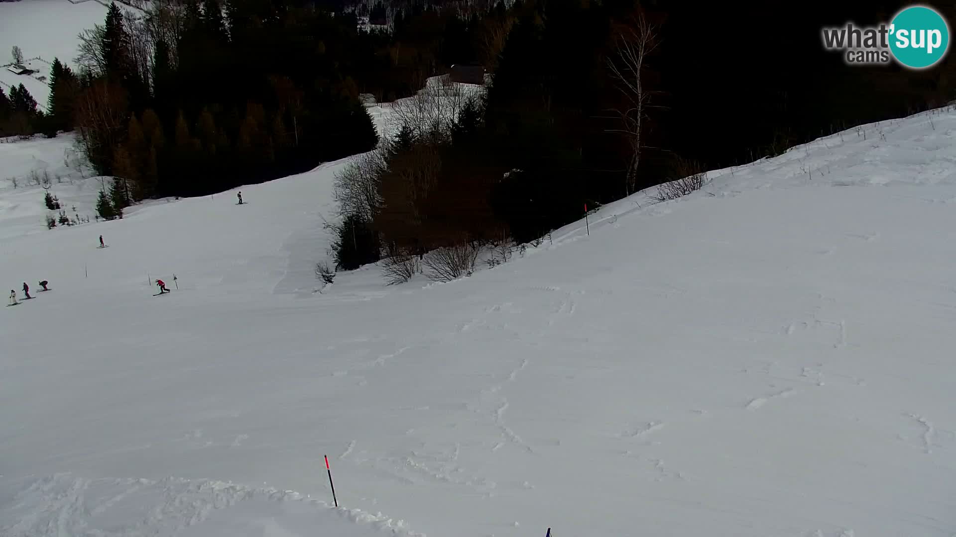 Kranjska Gora kamera VITRANC 1 | Zgornja postaja