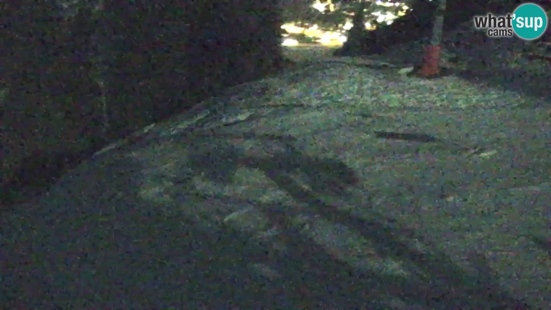 Estación de esquí Kranjska Gora | Estación superior VITRANC 1