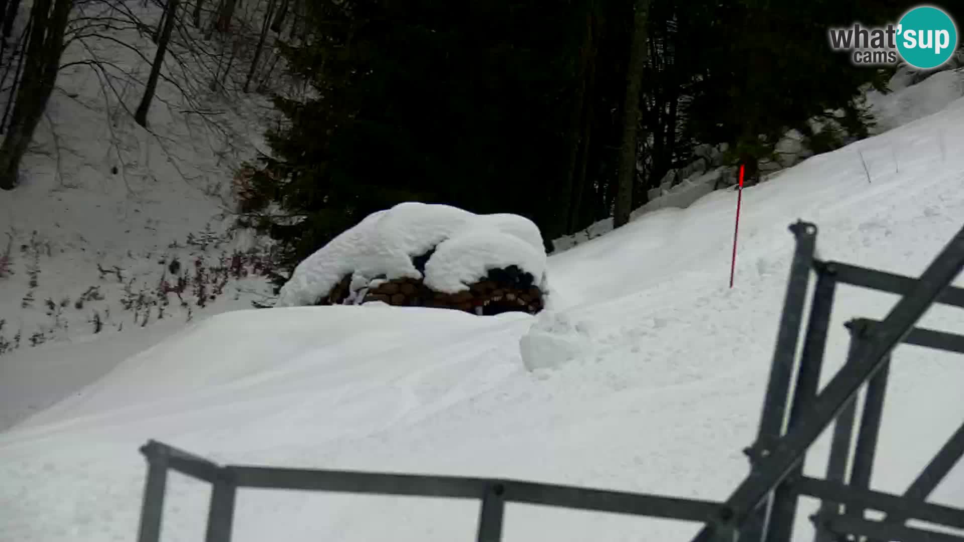 Kranjska Gora livecam VITRANC 1 | estación superior