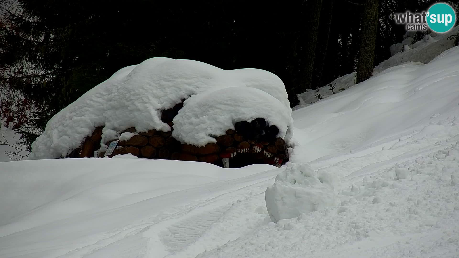 Estación de esquí Kranjska Gora | Estación superior VITRANC 1