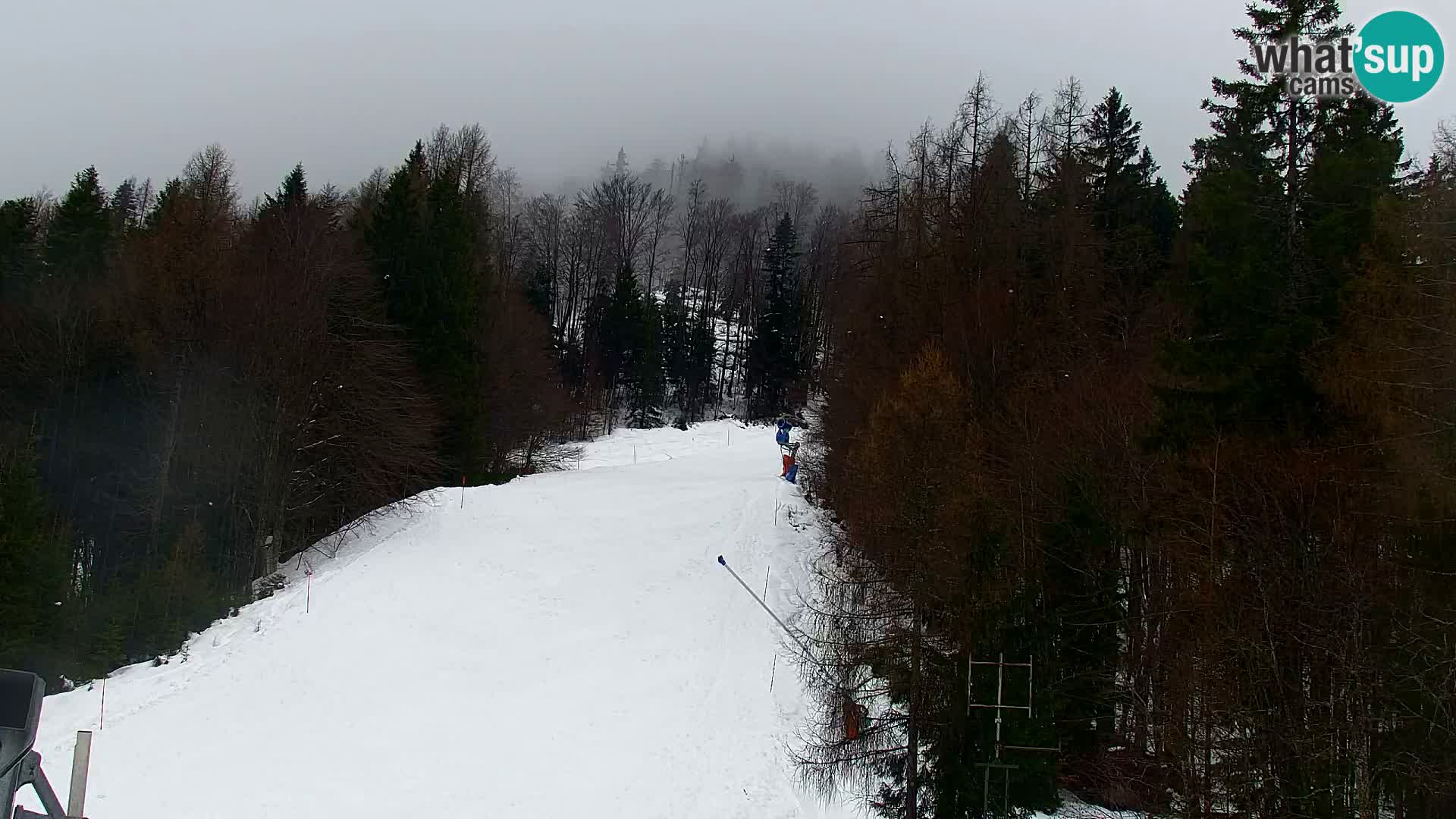 Kranjska Gora kamera VITRANC 1 | Zgornja postaja