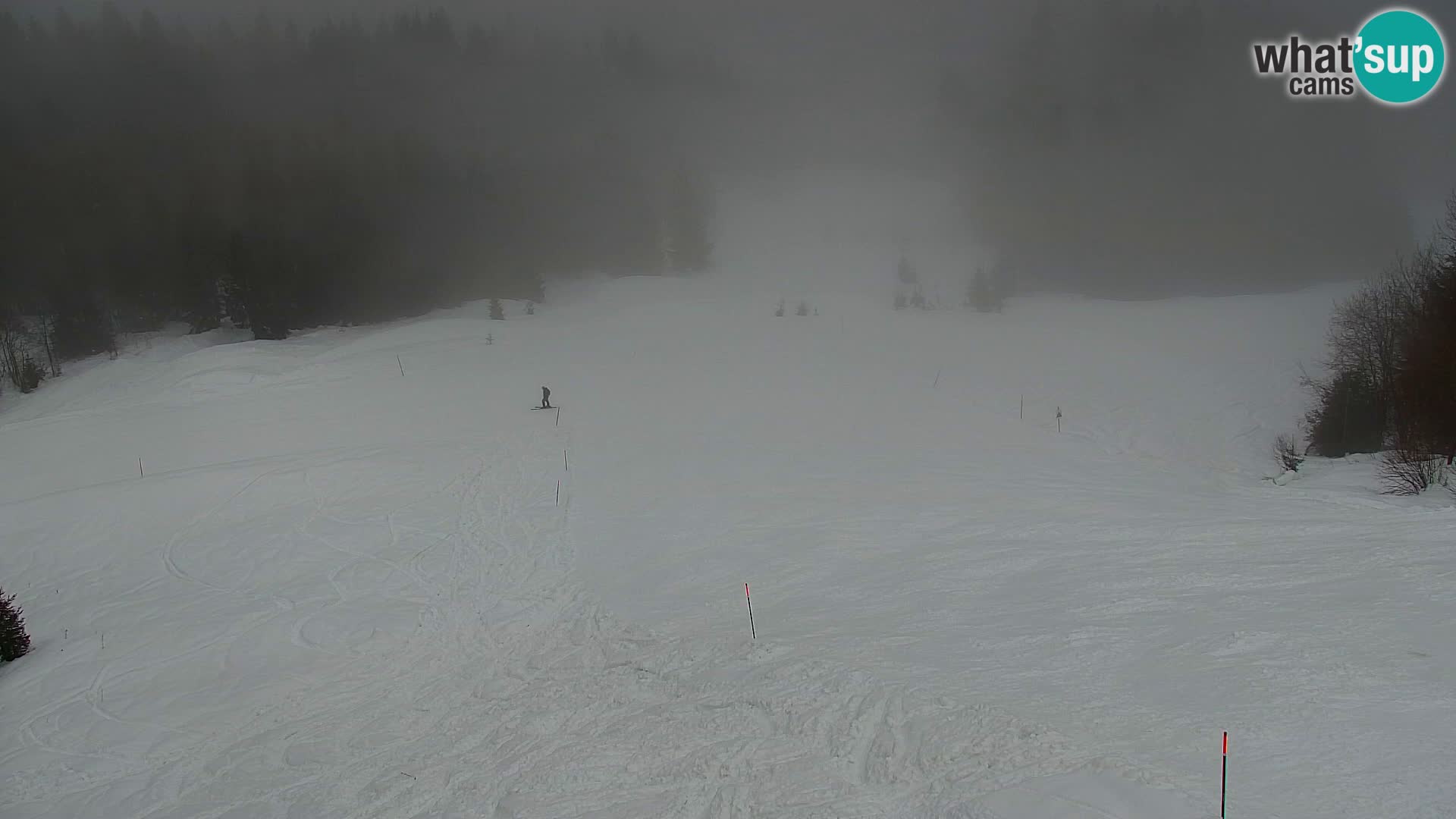 Kranjska Gora web kamera Vitranc | VITRANC 1 gornja postaja