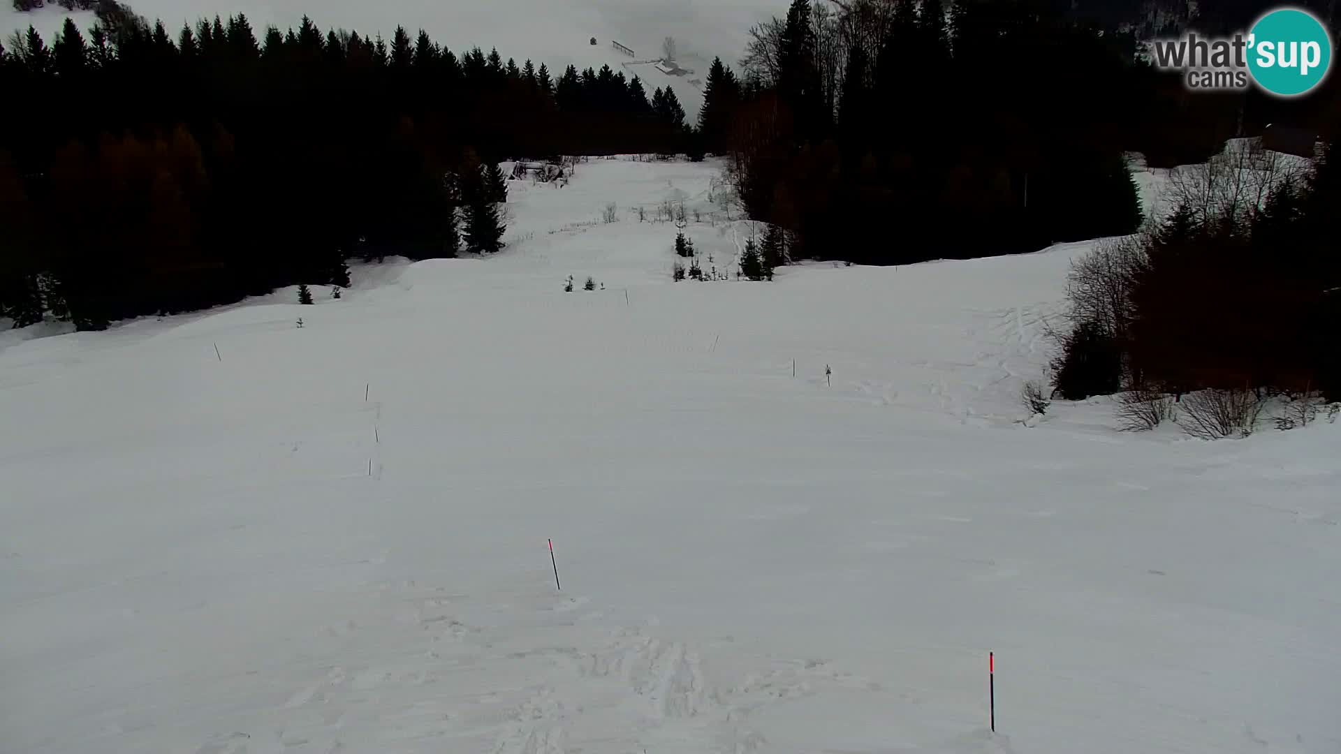 Estación de esquí Kranjska Gora | Estación superior VITRANC 1