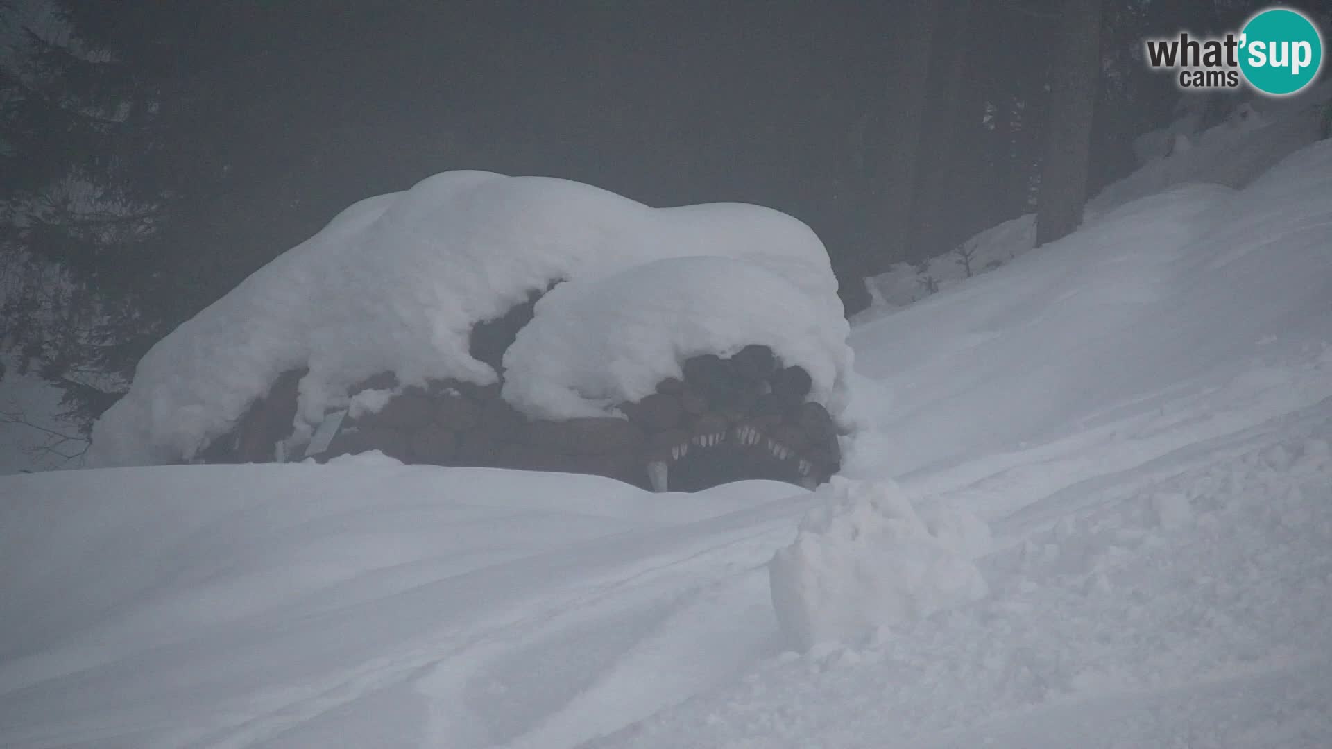 Kranjska Gora webcam VITRANC 1 | obere Station