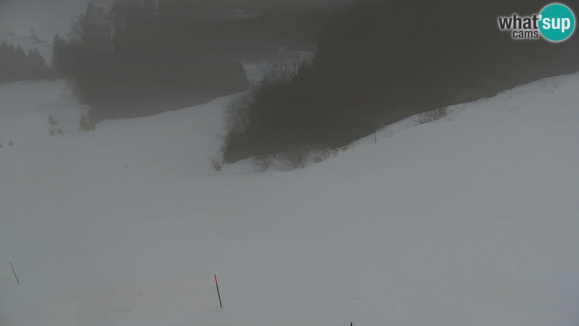 Vitranc Kranjska Gora webcam | VITRANC 1 stazione superiore