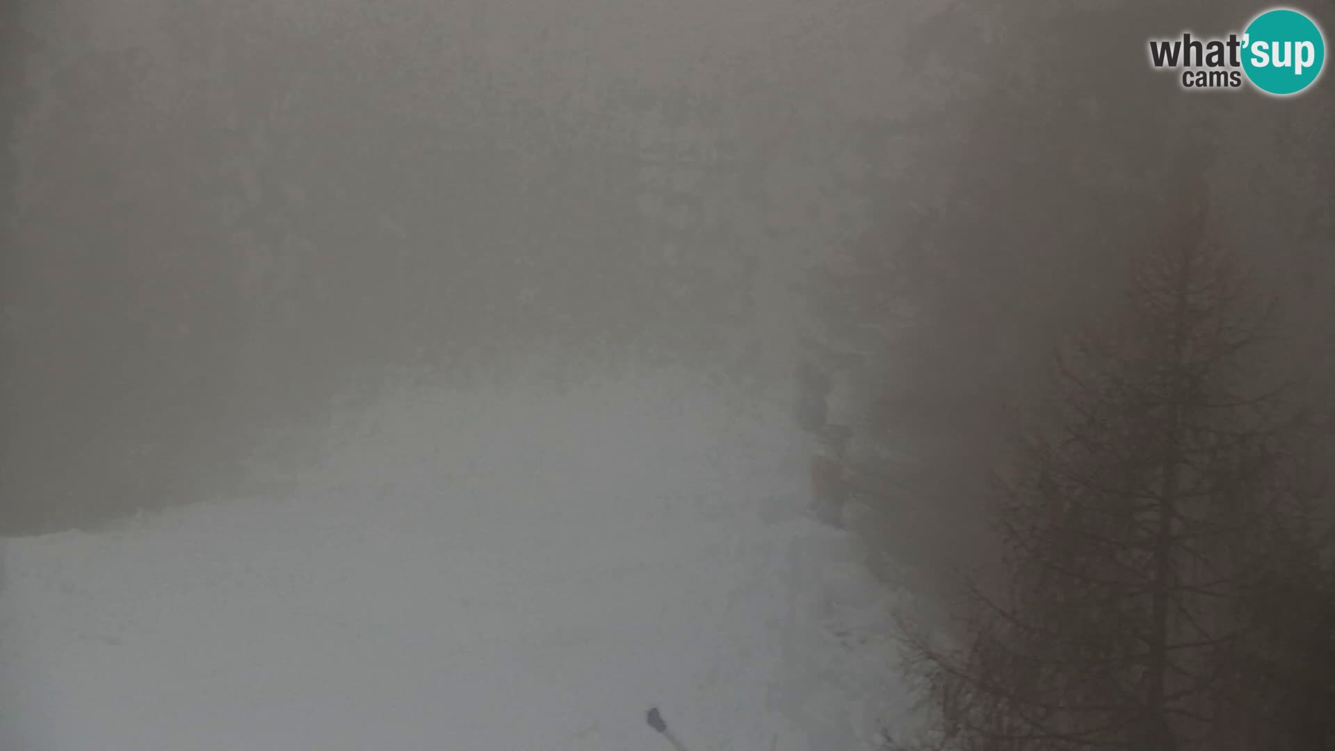 Kranjska Gora livecam VITRANC 1 | estación superior