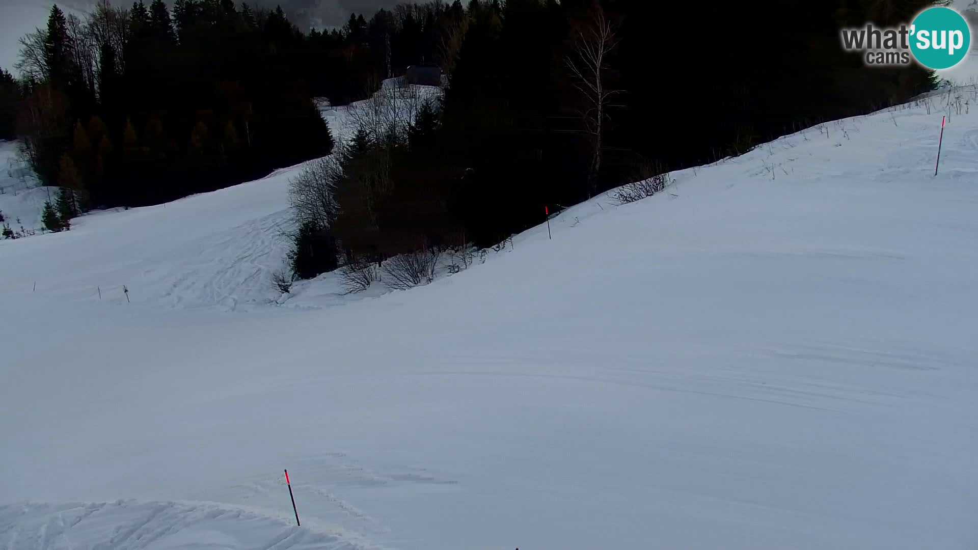 Vitranc Kranjska Gora webcam | VITRANC 1 stazione superiore