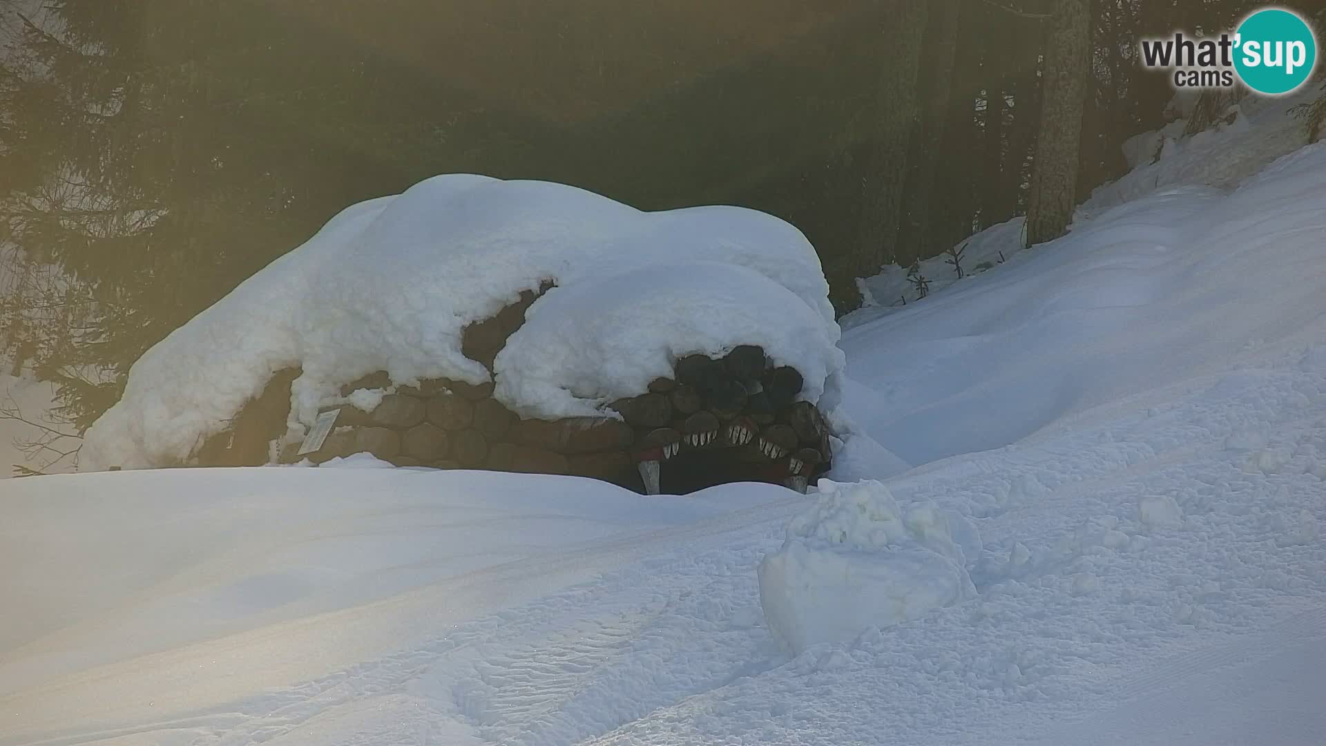 Vitranc Kranjska Gora webcam | VITRANC 1 stazione superiore