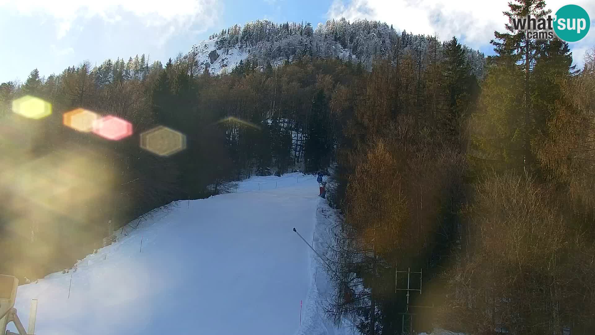 Vitranc Kranjska Gora webcam | VITRANC 1 stazione superiore
