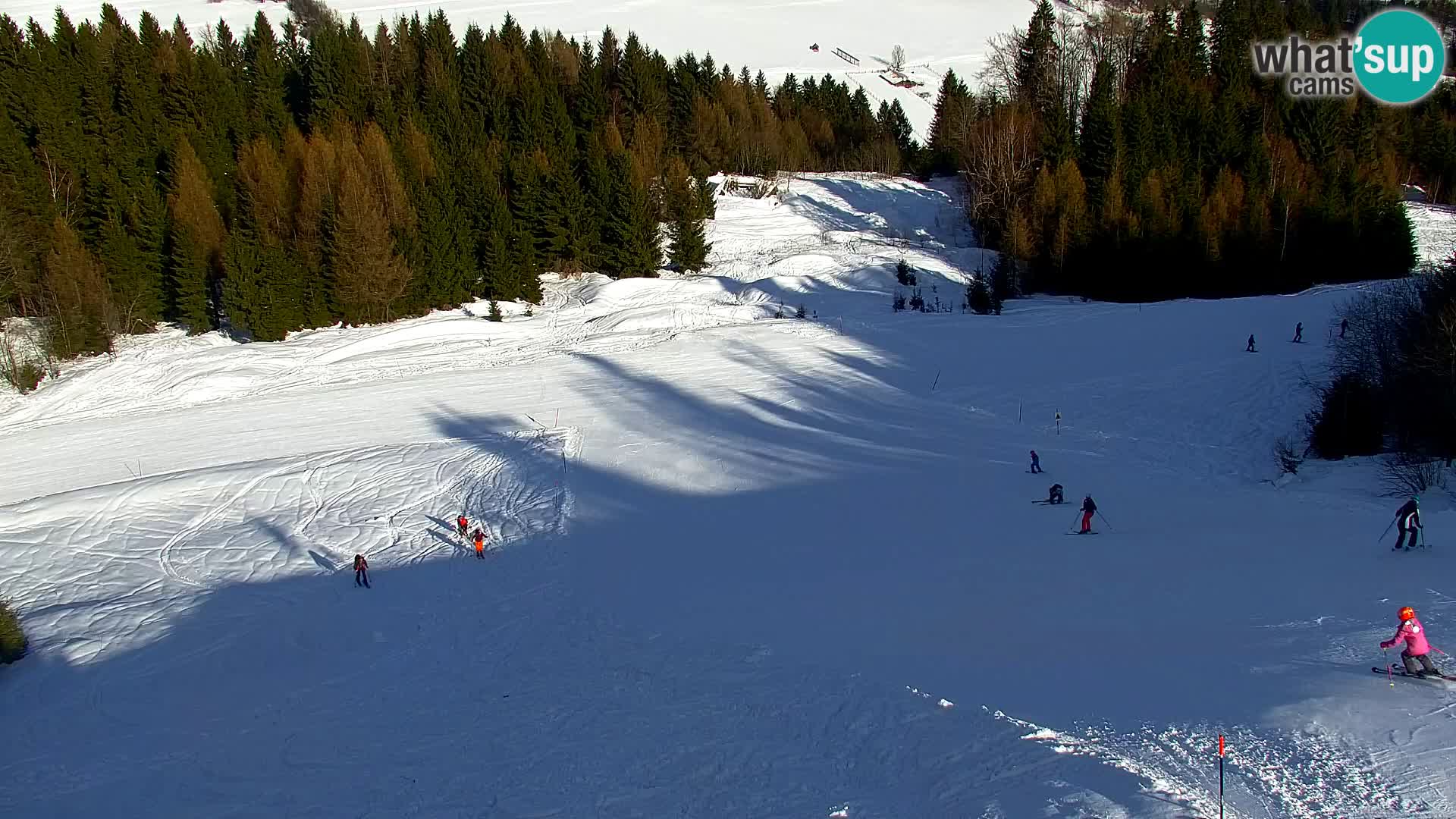 Vitranc Kranjska Gora webcam | VITRANC 1 stazione superiore