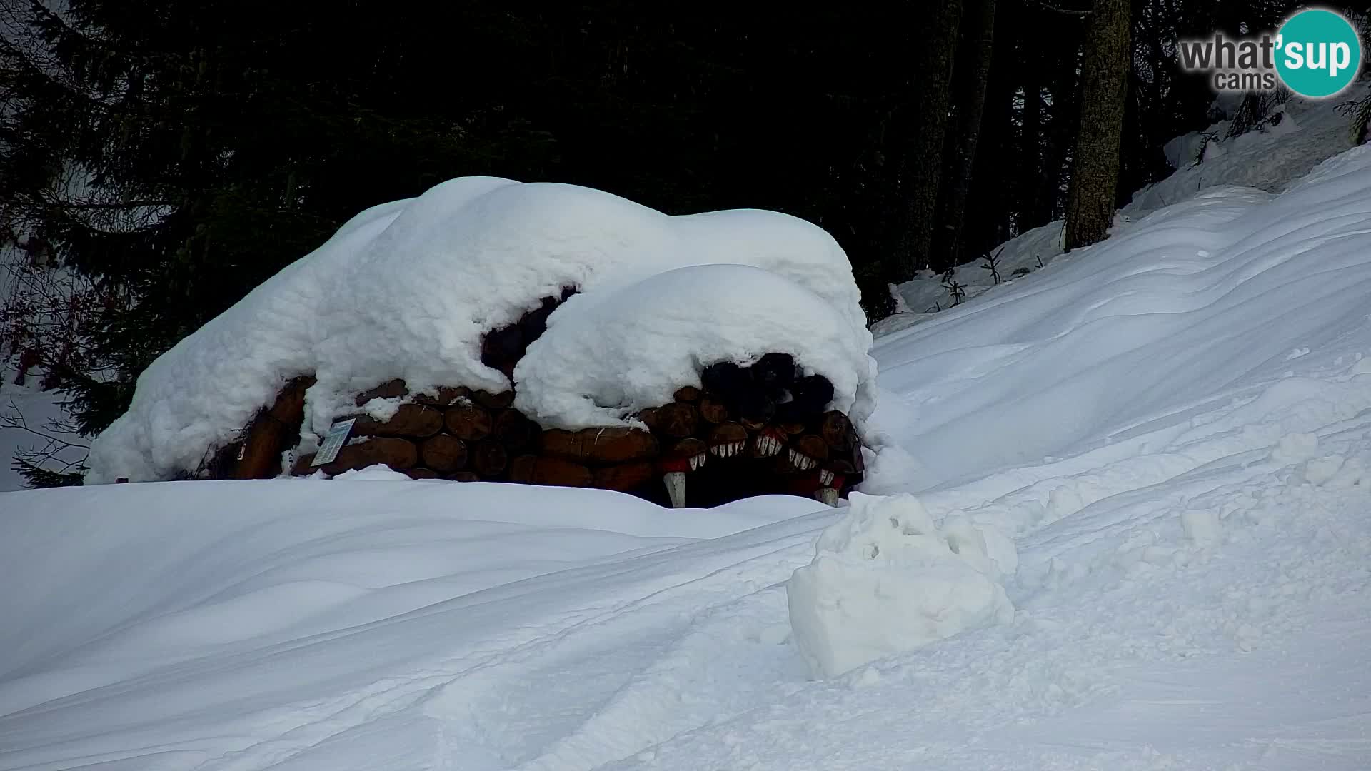 Ski Resort Kranjska Gora | VITRANC 1 upper station