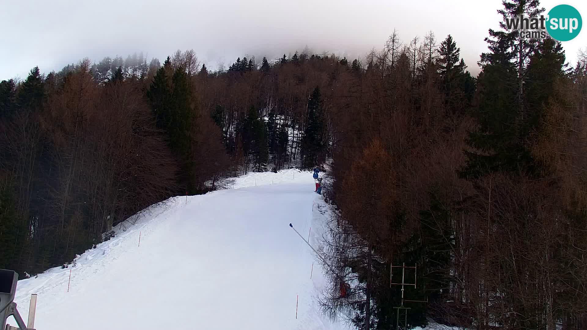 Vitranc Kranjska Gora webcam | VITRANC 1 stazione superiore