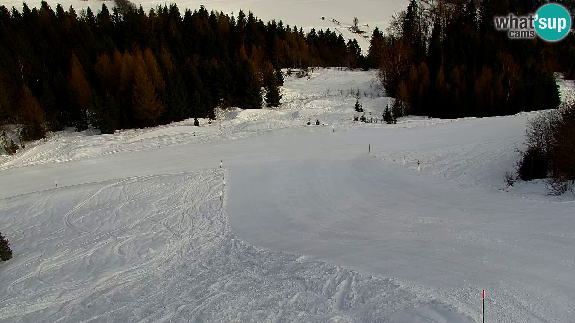 Kranjska Gora web kamera Vitranc | VITRANC 1 gornja postaja