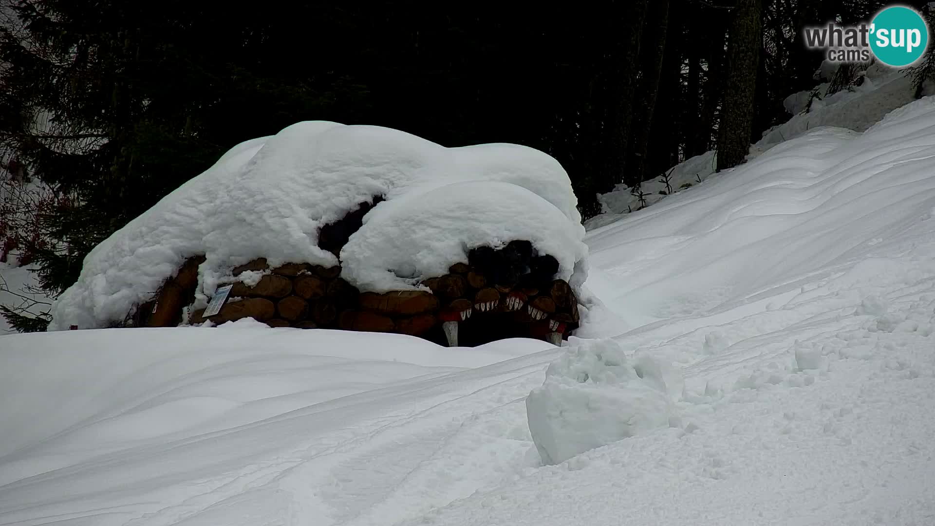 Kranjska Gora web kamera Vitranc | VITRANC 1 gornja postaja