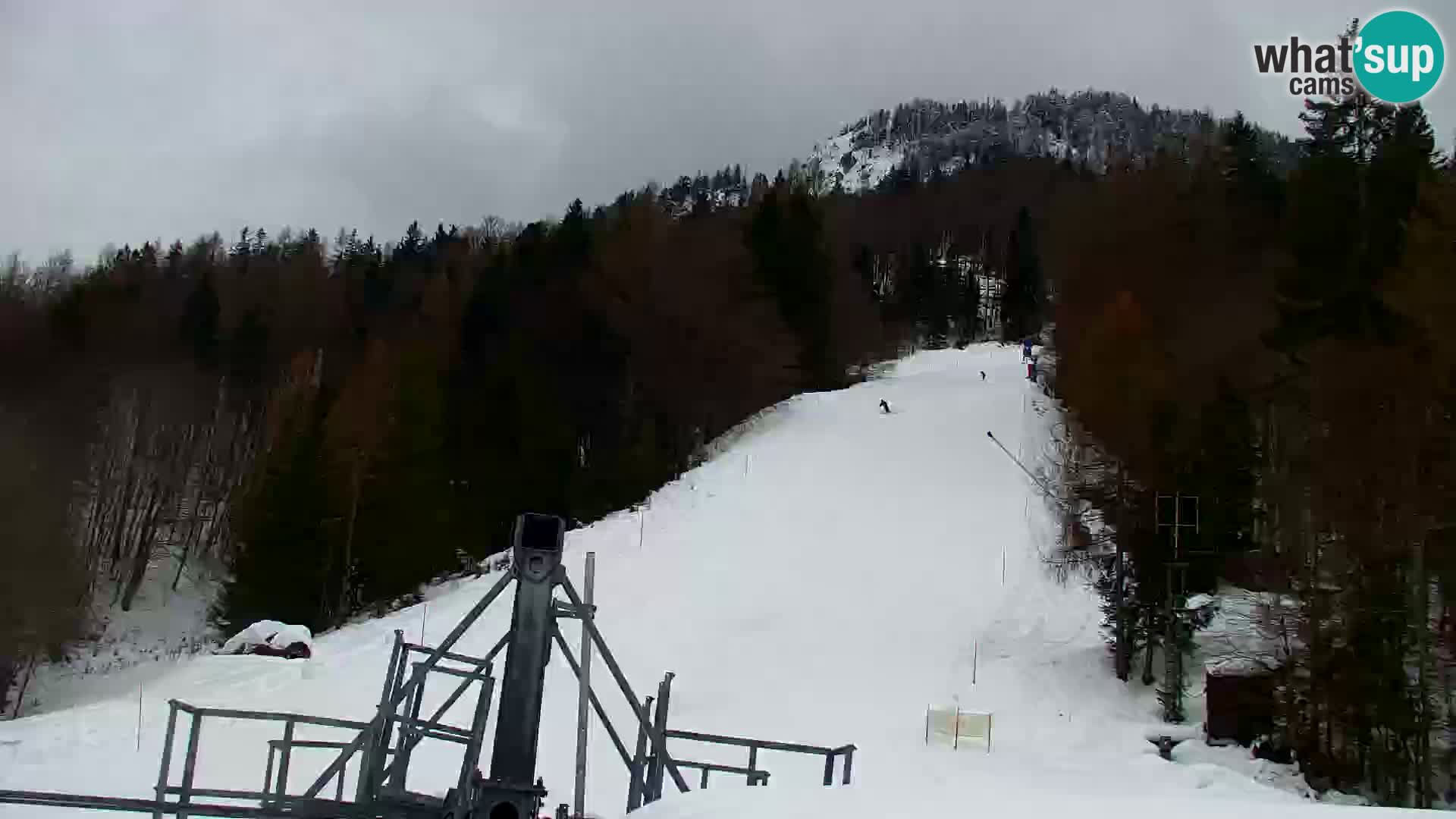 Estación de esquí Kranjska Gora | Estación superior VITRANC 1