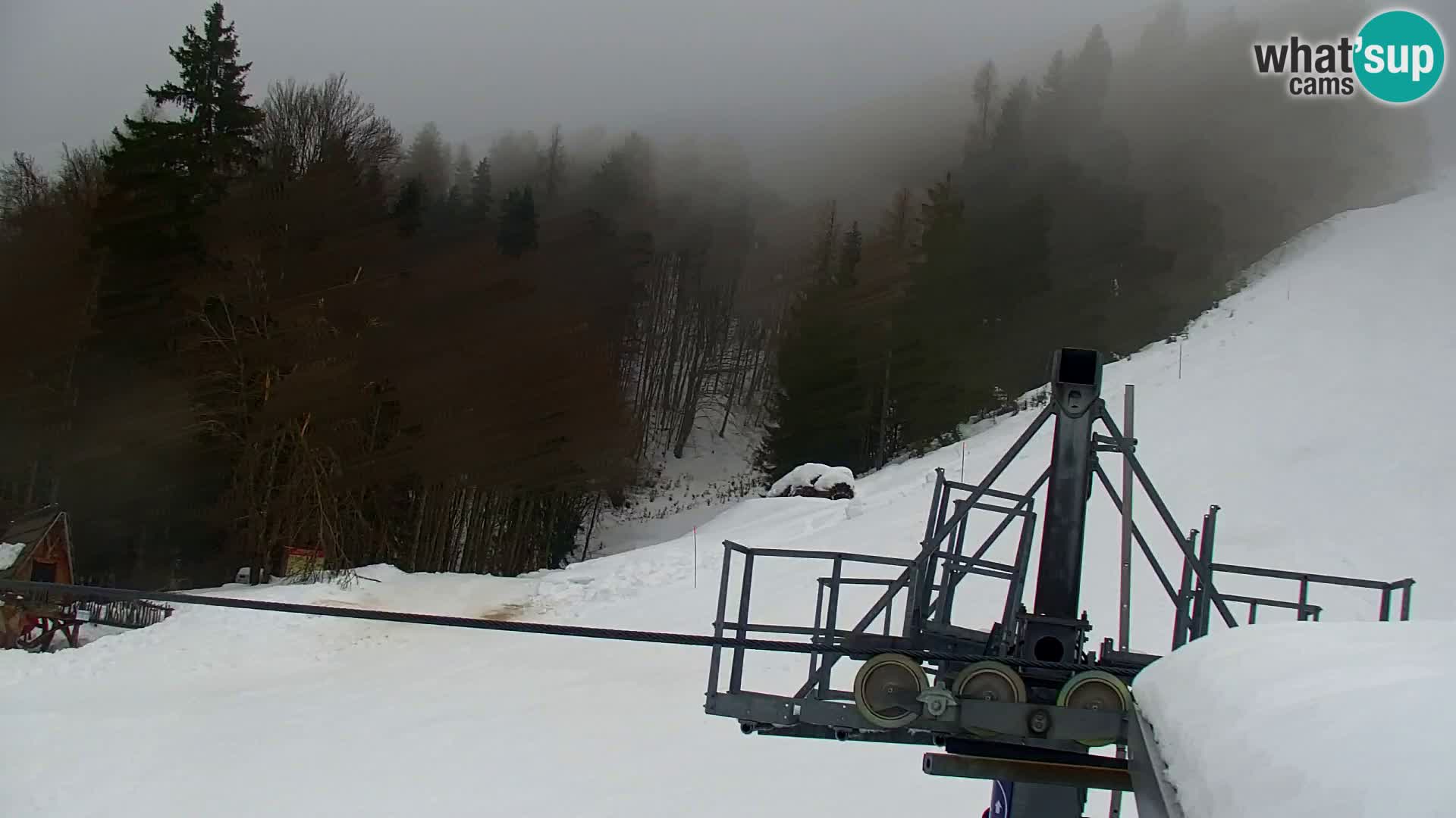 Vitranc Kranjska Gora webcam | VITRANC 1 stazione superiore