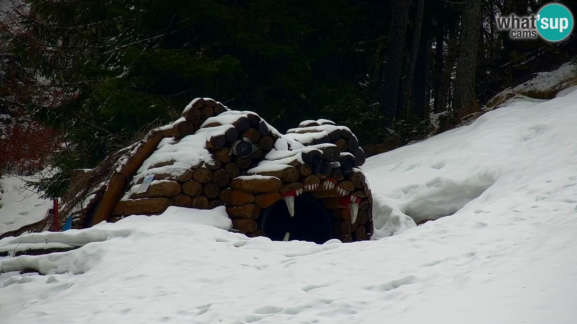 Estación de esquí Kranjska Gora | Estación superior VITRANC 1