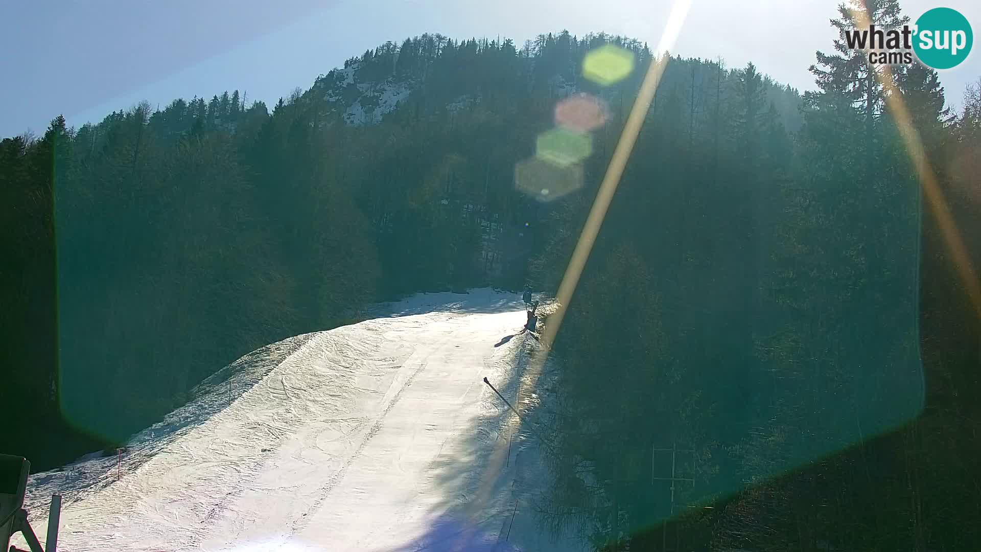 Vitranc Kranjska Gora webcam | VITRANC 1 stazione superiore