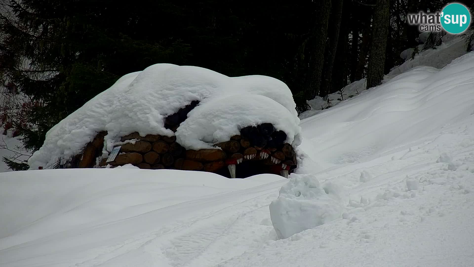 Kranjska Gora webcam VITRANC 1 | obere Station