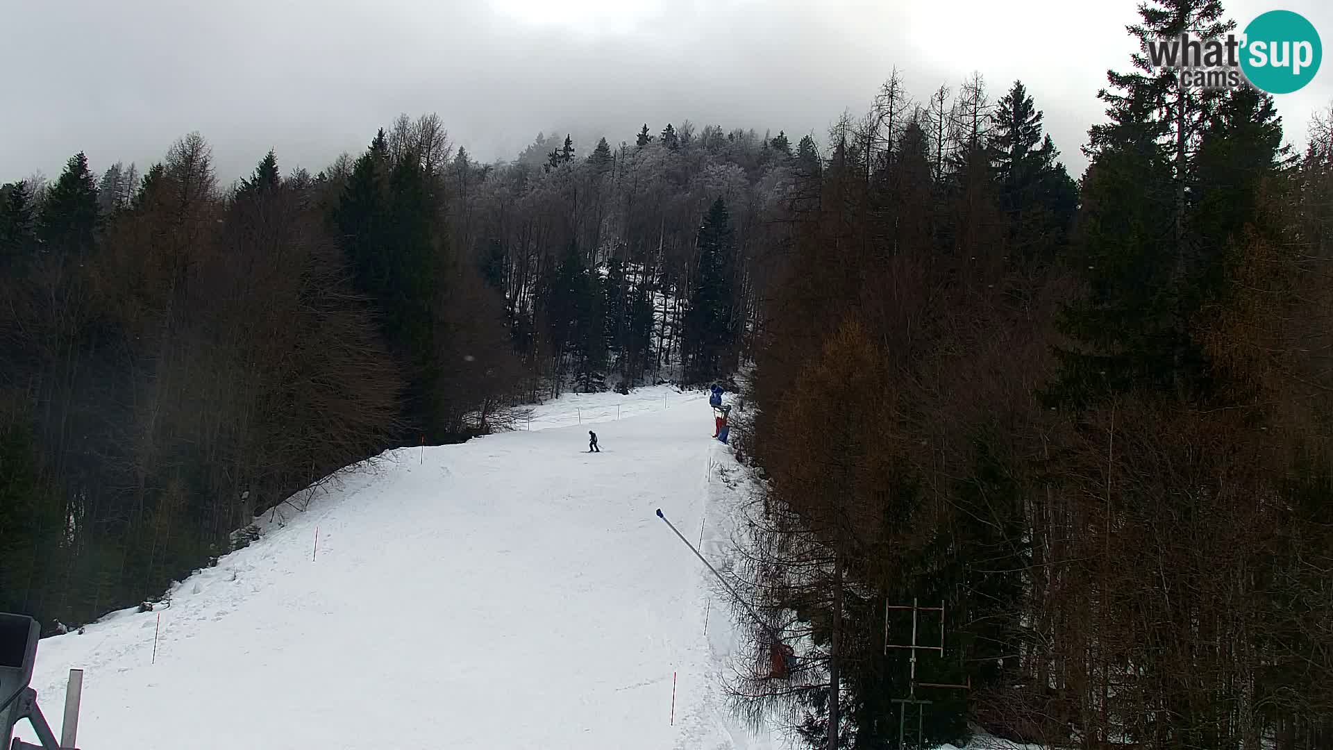 Ski Resort Kranjska Gora | VITRANC 1 upper station