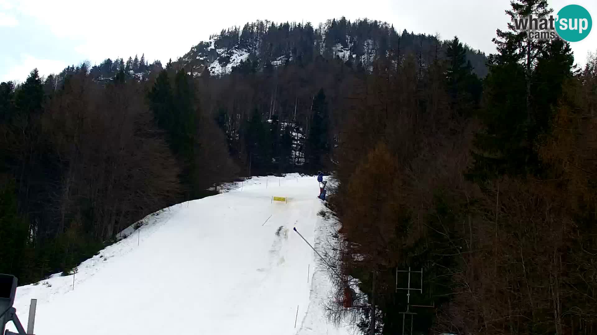 Kranjska Gora livecam VITRANC 1 | estación superior