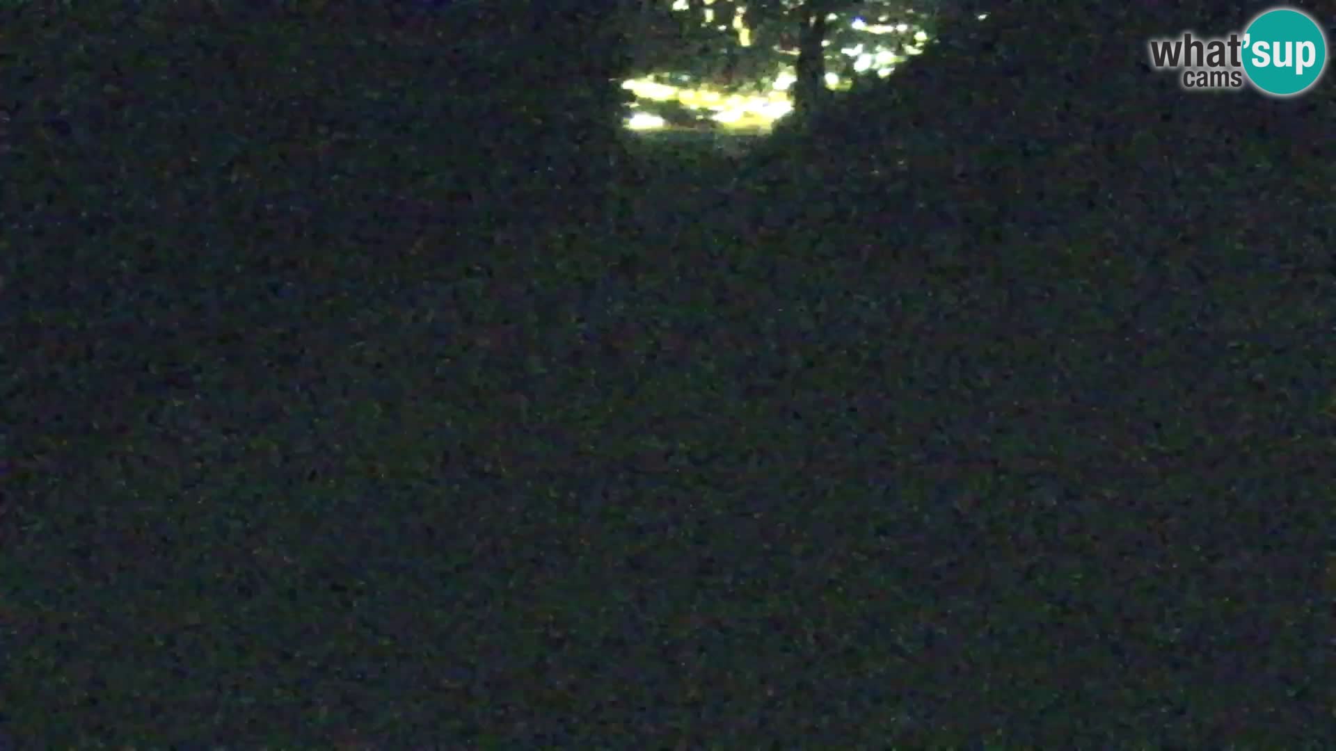 Kranjska Gora livecam VITRANC 1 | estación superior