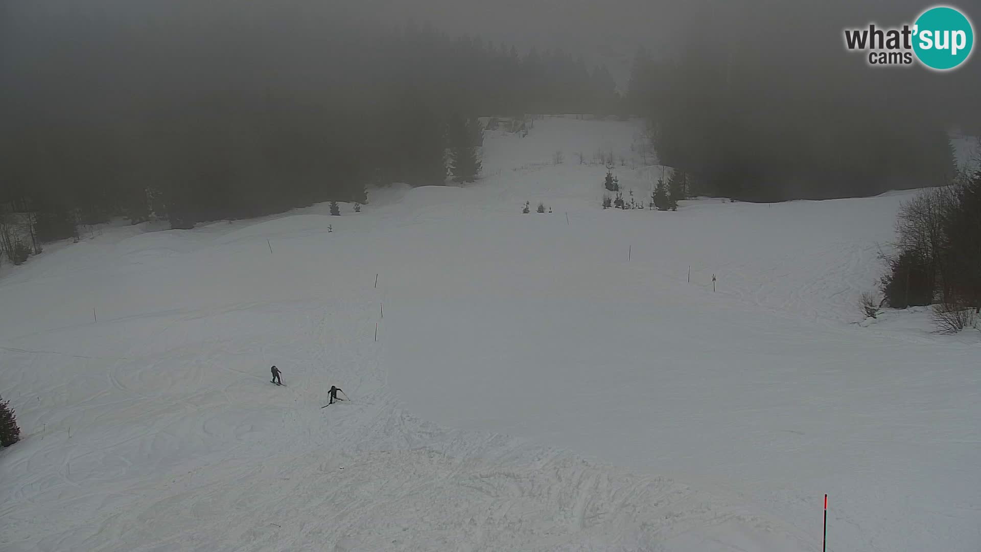 Kranjska Gora web kamera Vitranc | VITRANC 1 gornja postaja