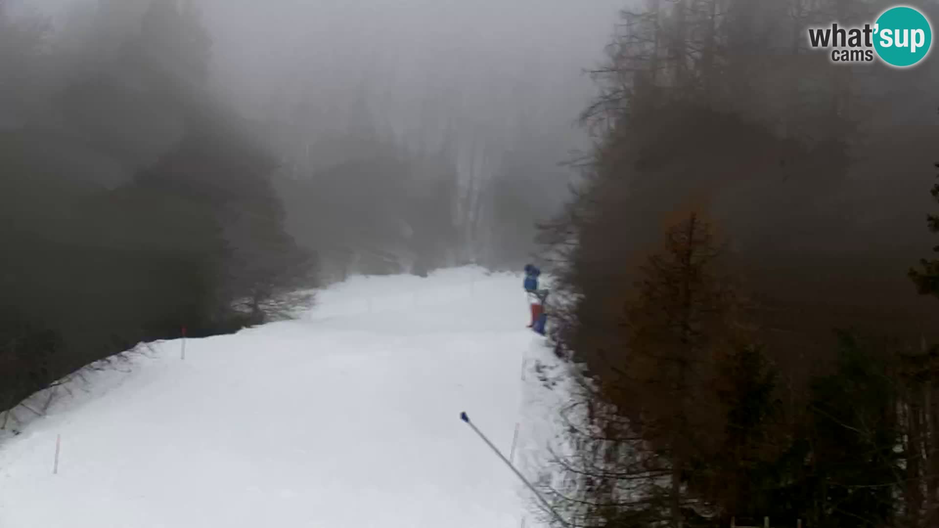 Vitranc Kranjska Gora webcam | VITRANC 1 stazione superiore