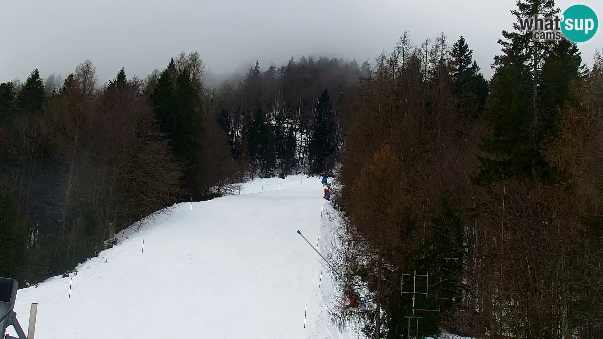Kranjska Gora livecam VITRANC 1 | estación superior
