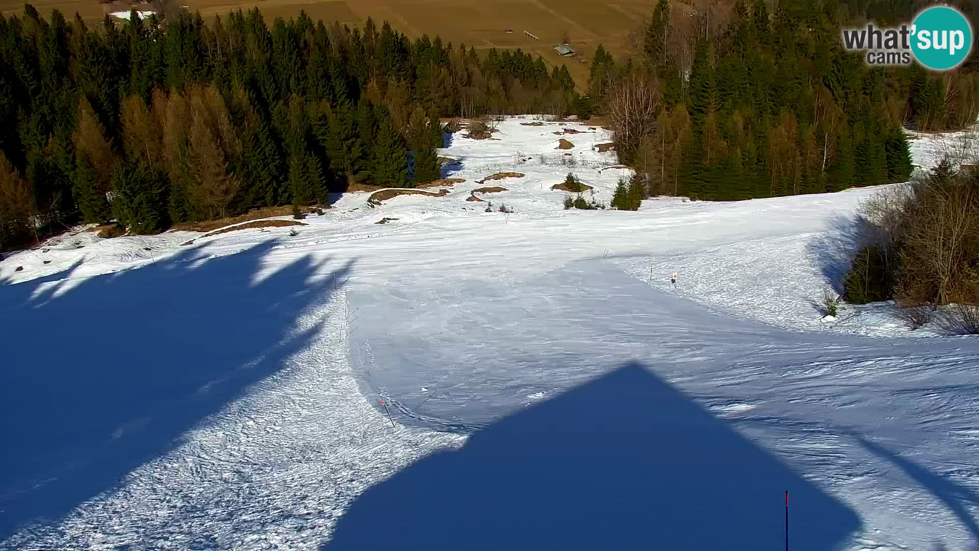 Vitranc Kranjska Gora webcam | VITRANC 1 stazione superiore