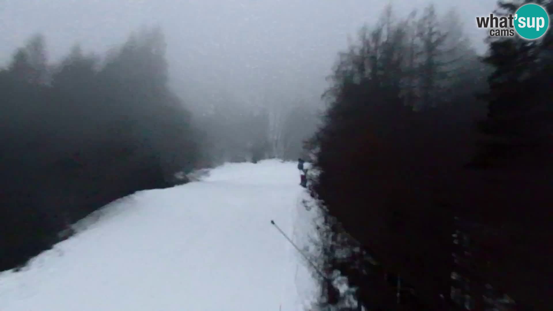 Kranjska Gora web kamera Vitranc | VITRANC 1 gornja postaja