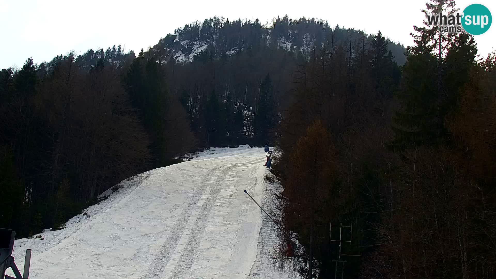 Kranjska Gora kamera VITRANC 1 | Zgornja postaja