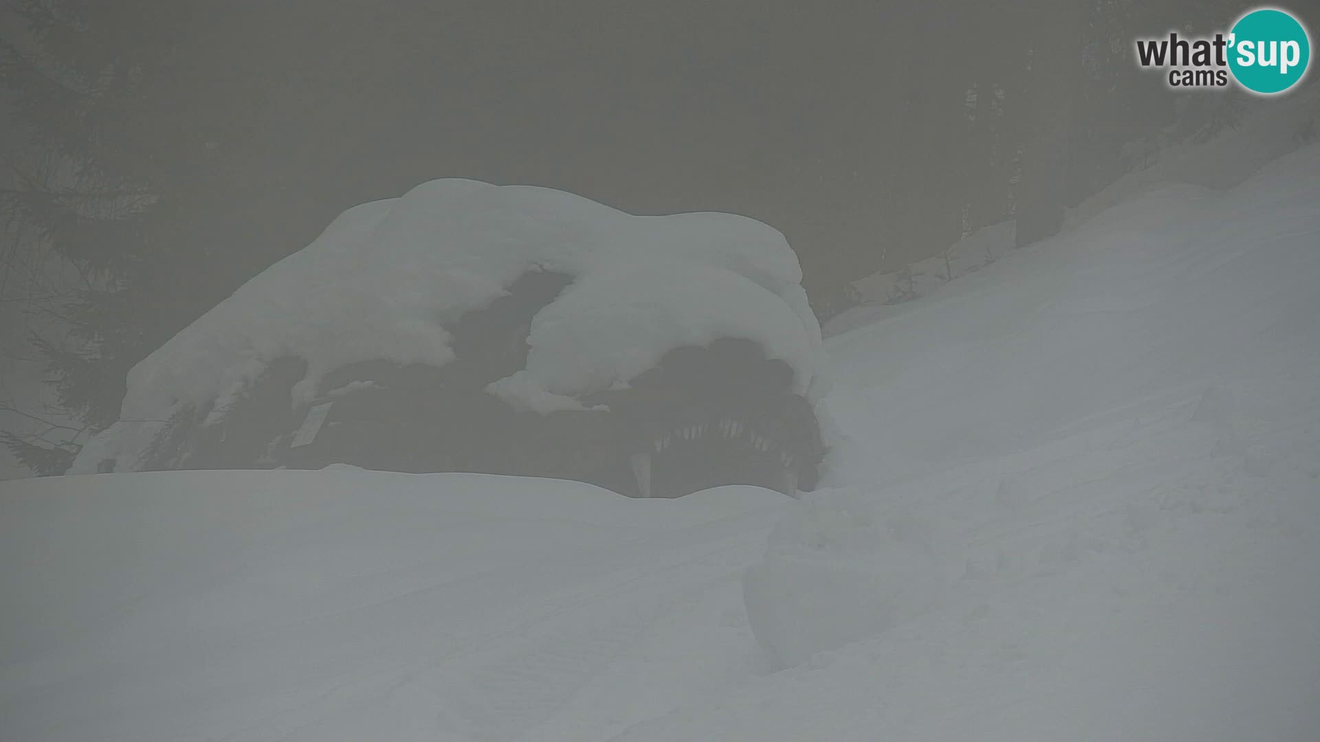 Kranjska Gora kamera VITRANC 1 | Zgornja postaja