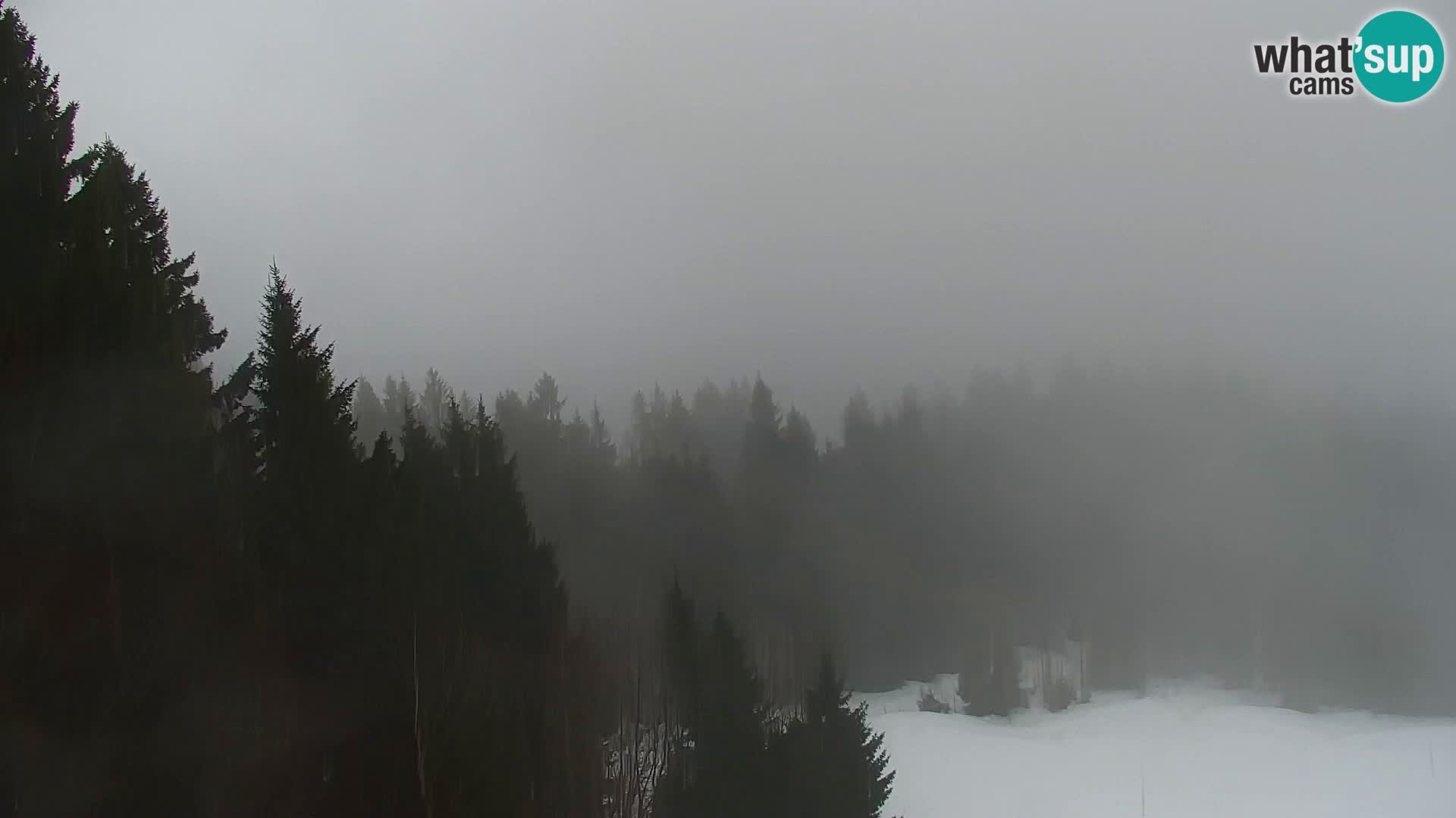 Vitranc Kranjska Gora webcam | VITRANC 1 stazione superiore