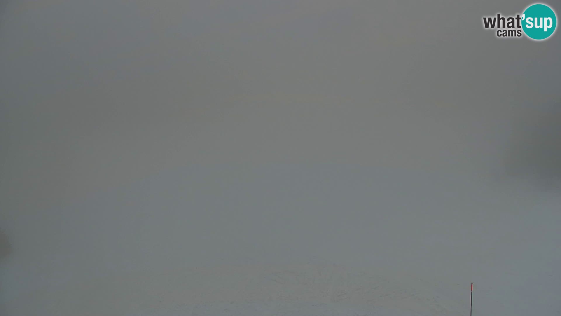 Kranjska Gora livecam VITRANC 1 | estación superior