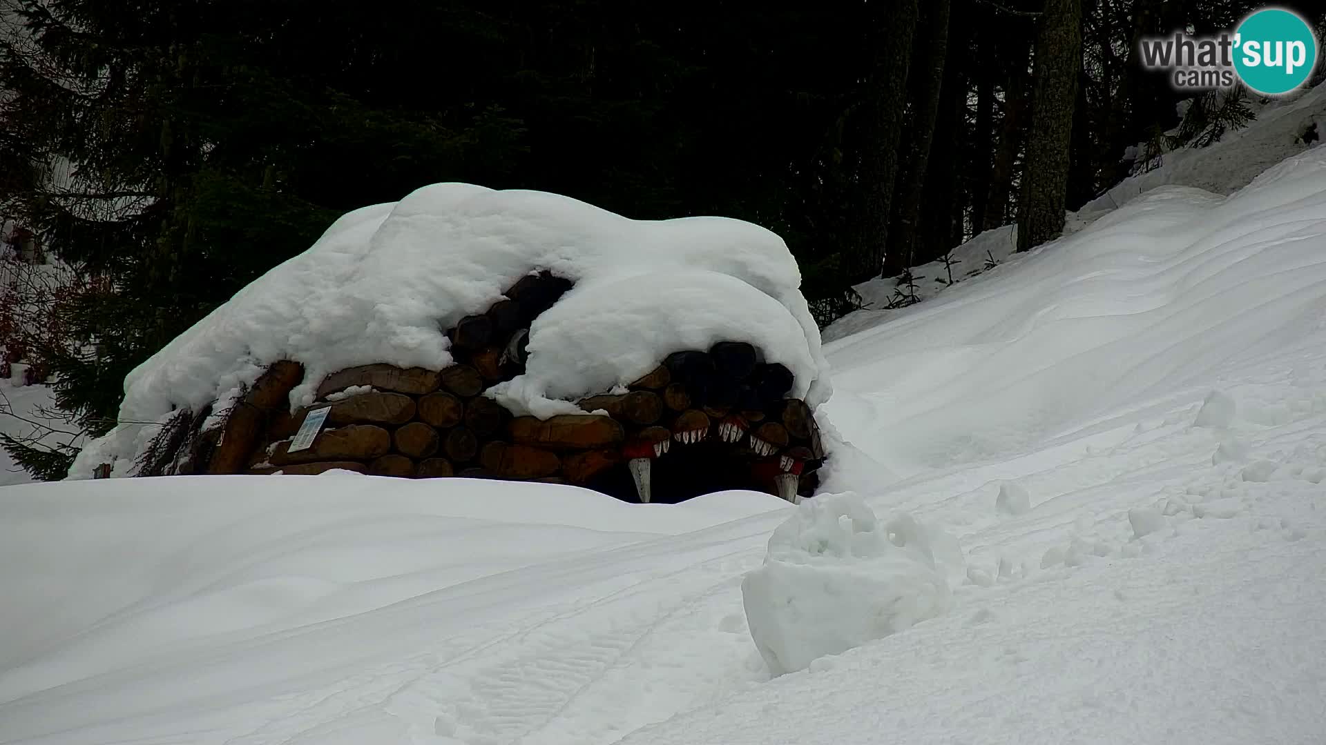 Ski Resort Kranjska Gora | VITRANC 1 upper station