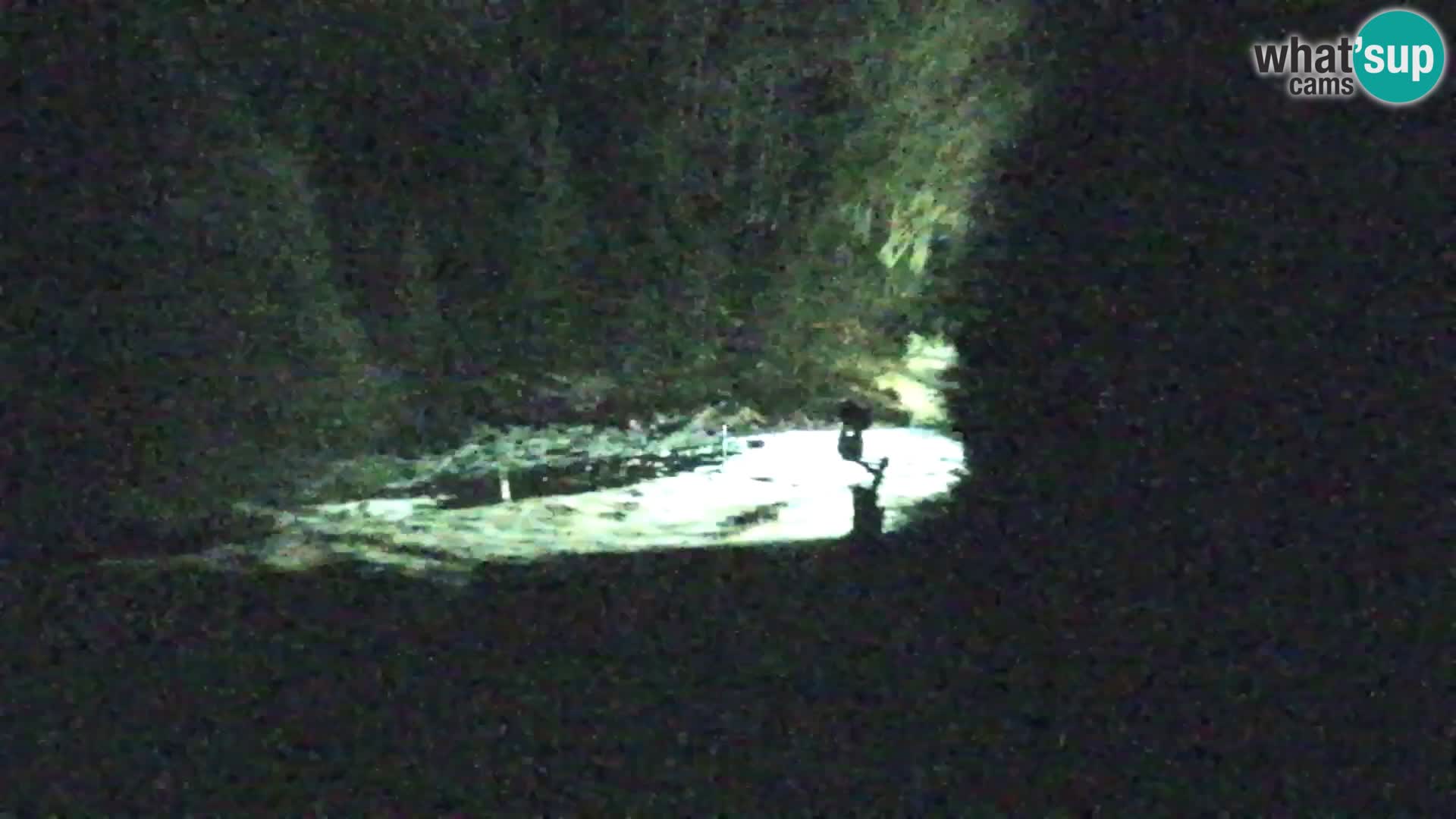 Kranjska Gora webcam VITRANC 1 | obere Station