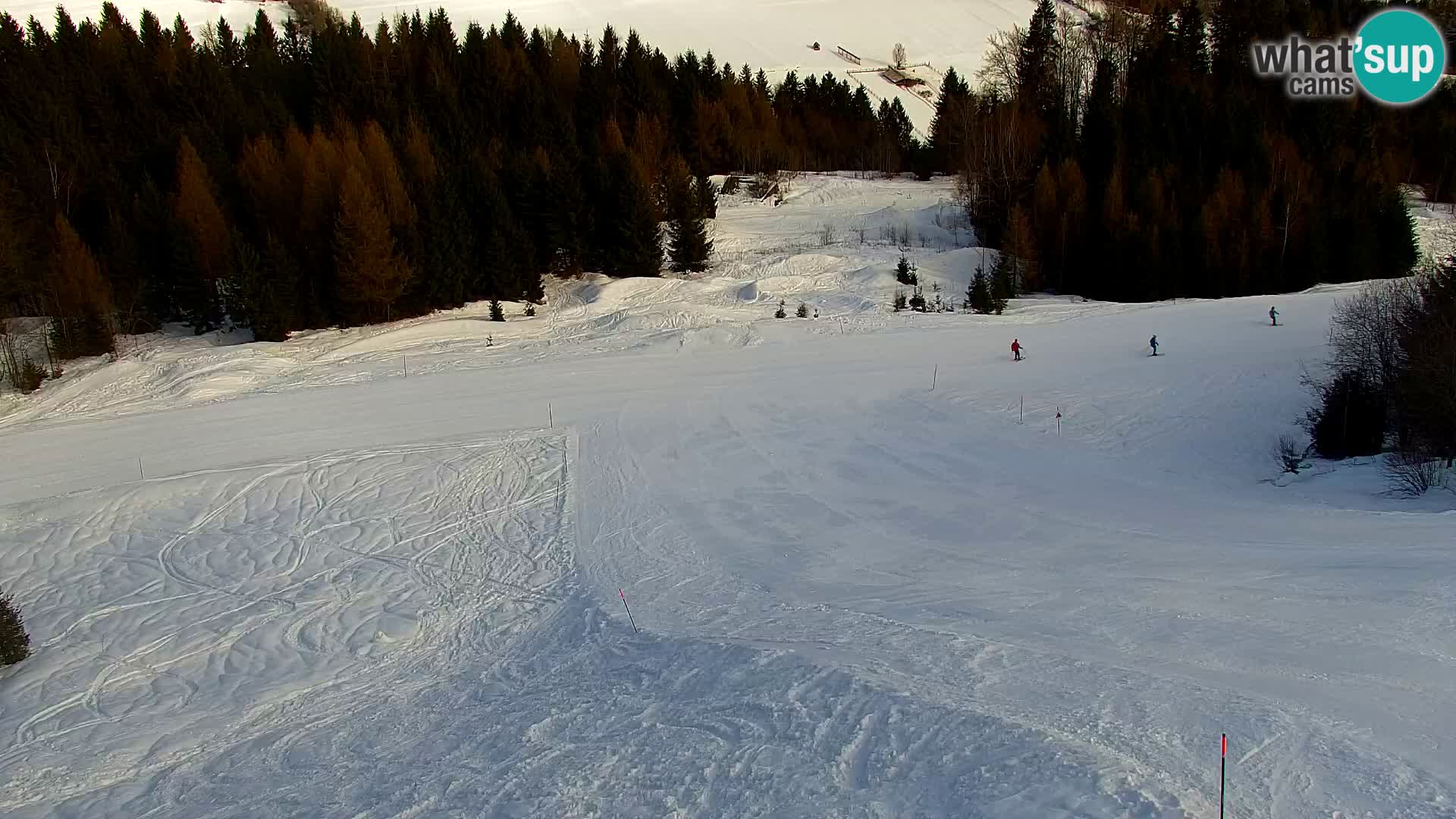 Vitranc Kranjska Gora webcam | VITRANC 1 stazione superiore