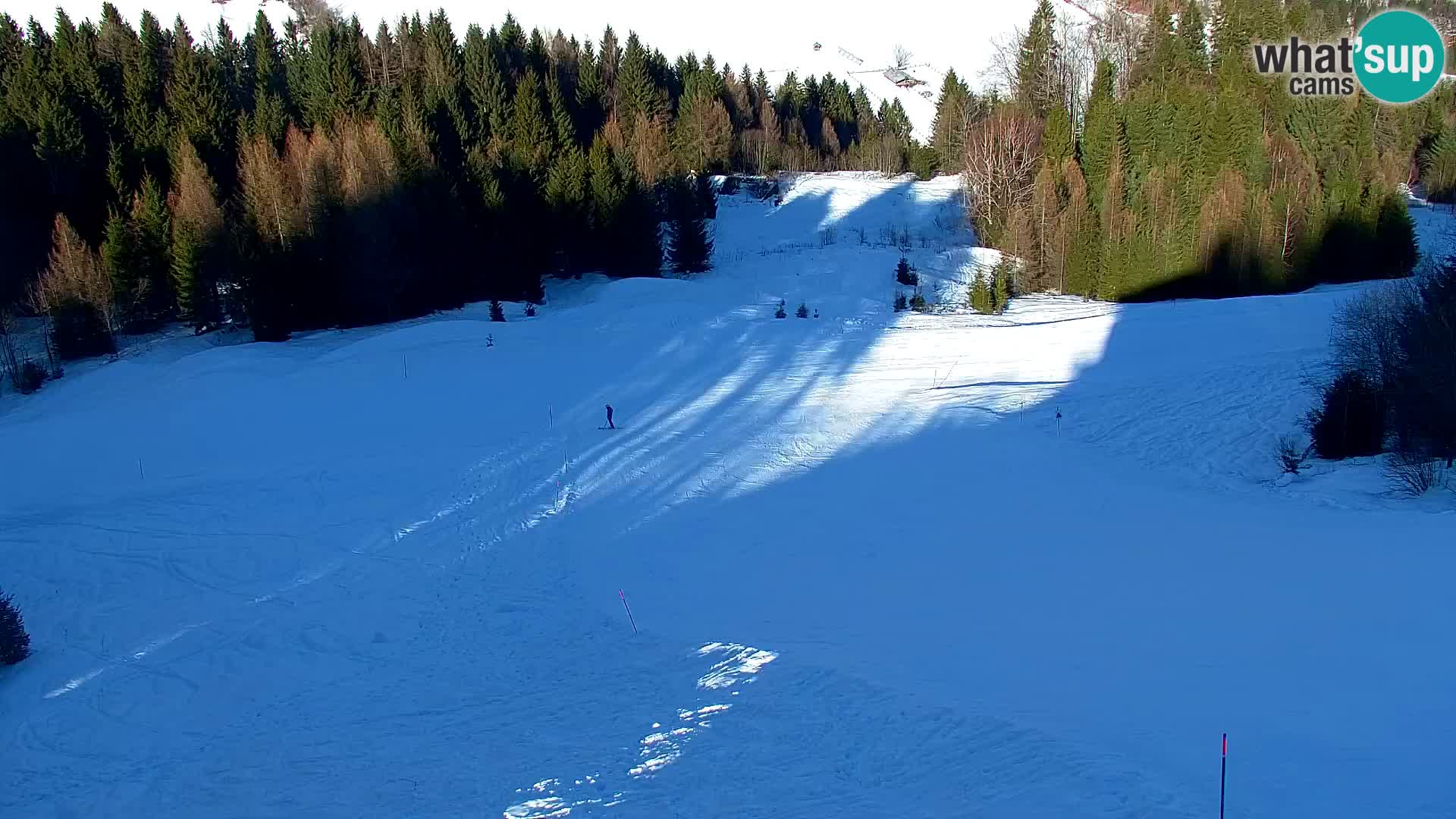 Kranjska Gora web kamera Vitranc | VITRANC 1 gornja postaja