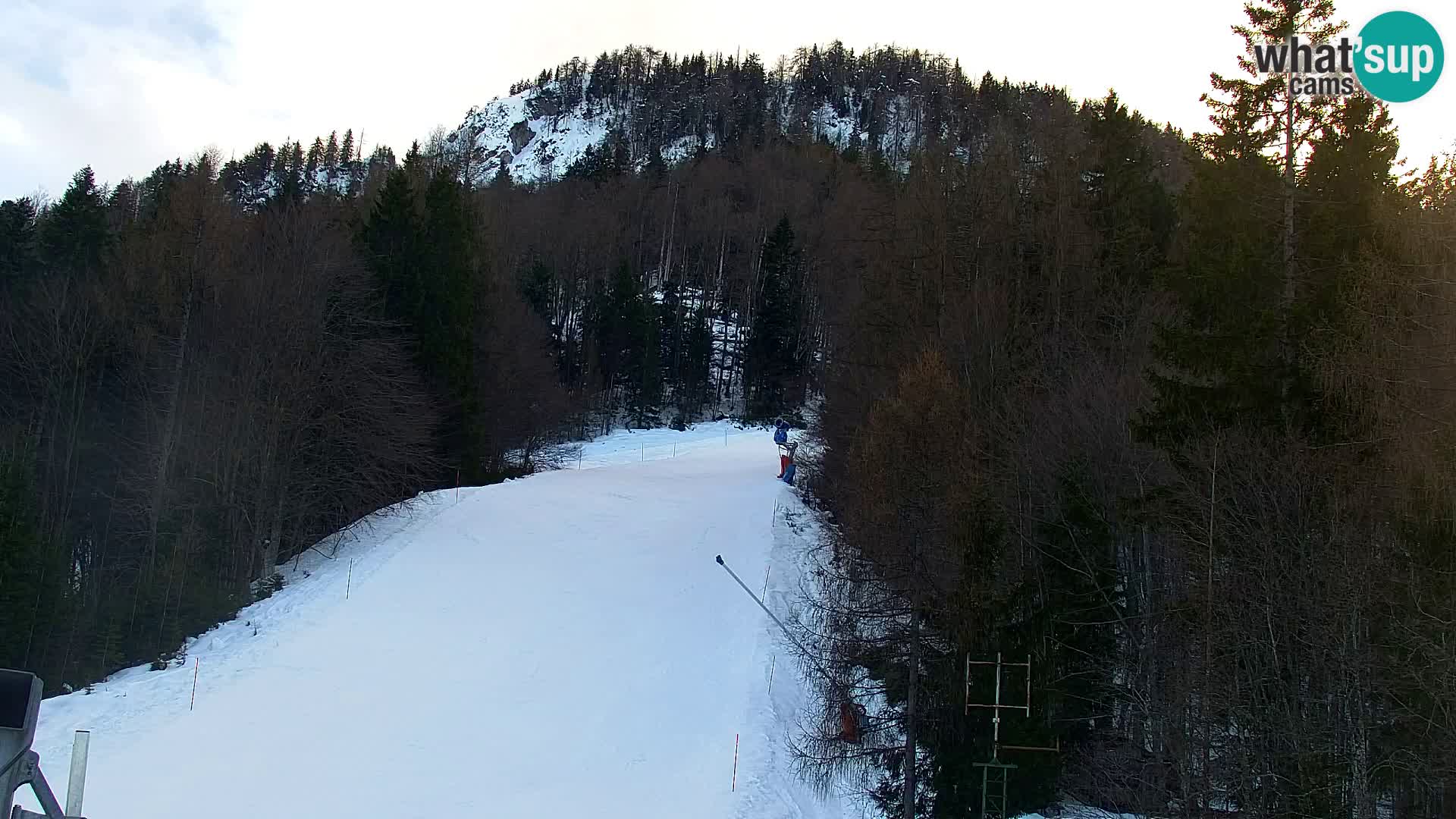 Kranjska Gora web kamera Vitranc | VITRANC 1 gornja postaja