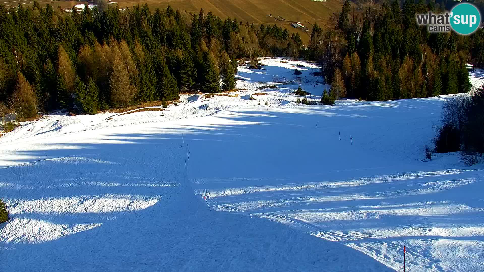 Kranjska Gora livecam VITRANC 1 | estación superior