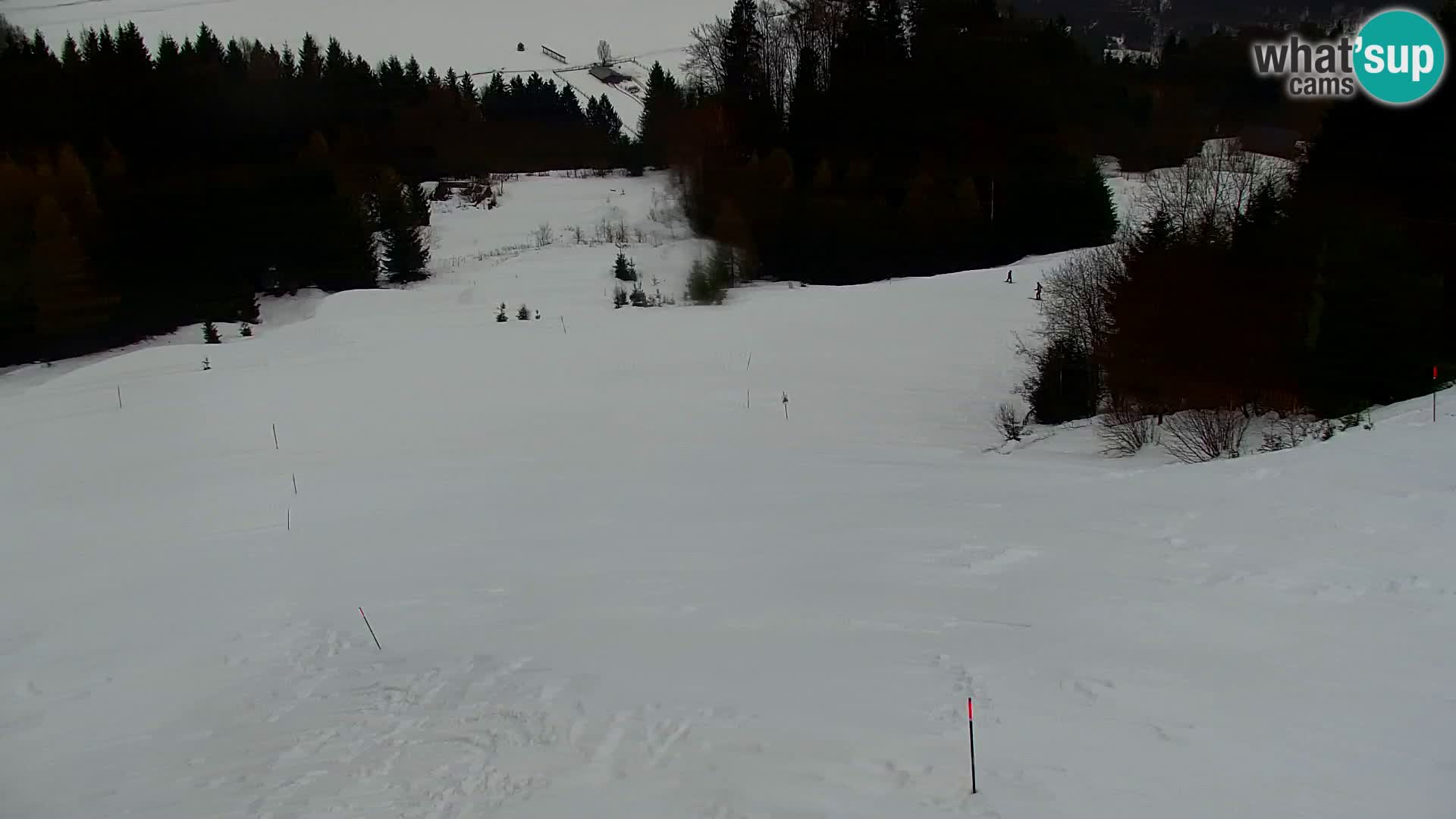 Kranjska Gora kamera VITRANC 1 | Zgornja postaja