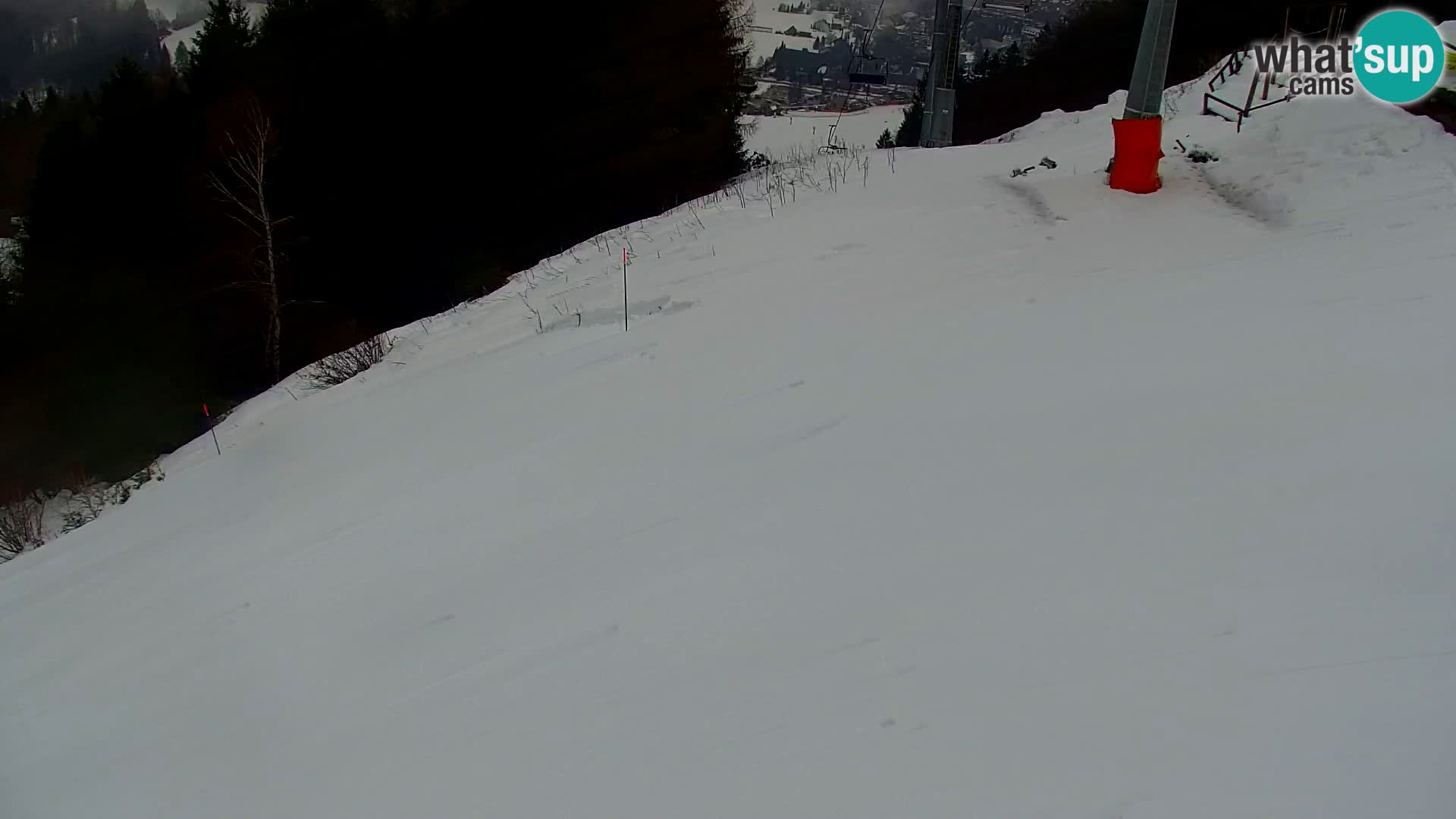 Vitranc Kranjska Gora webcam | VITRANC 1 stazione superiore